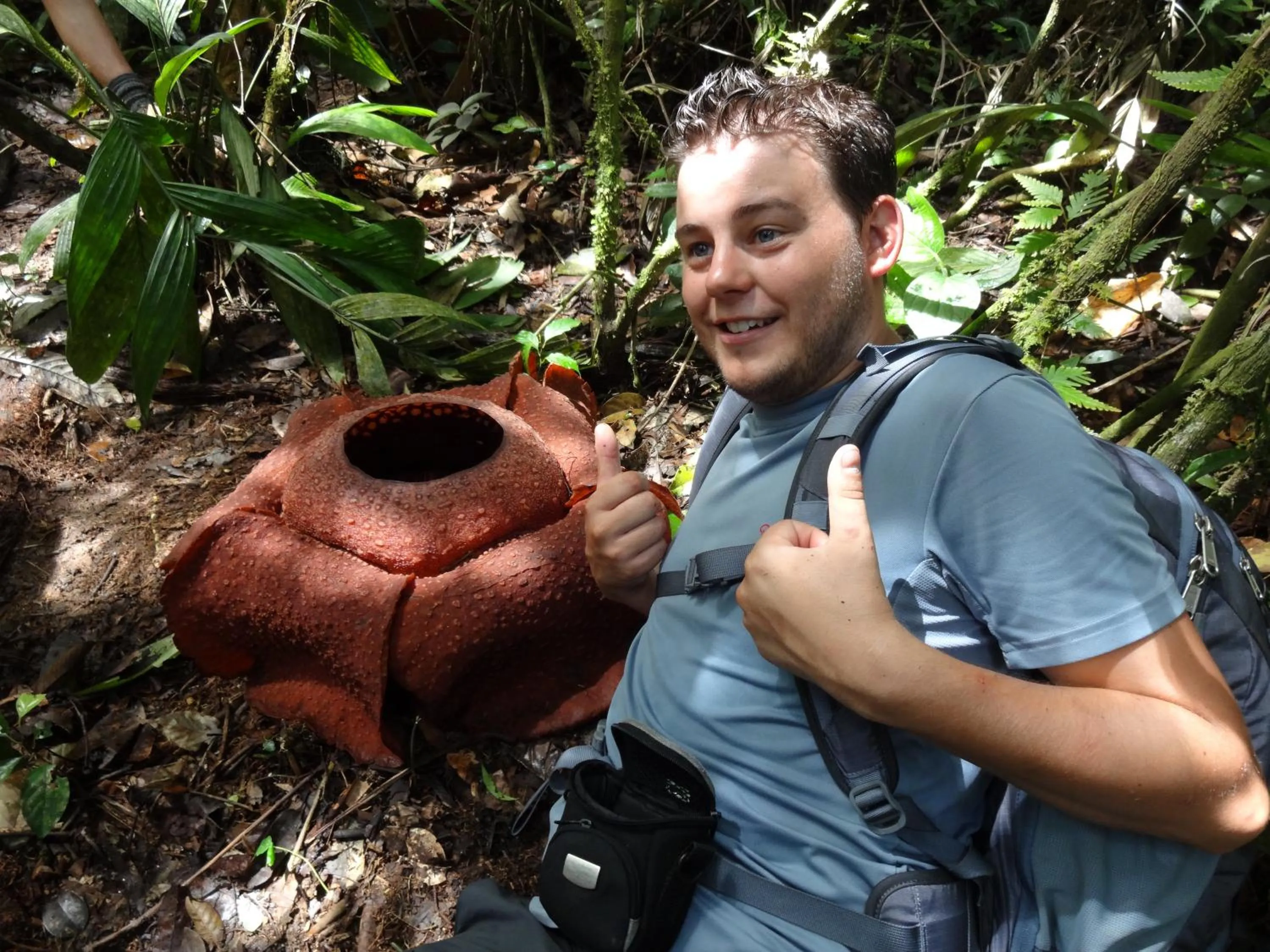 Property building in Orchid Haven