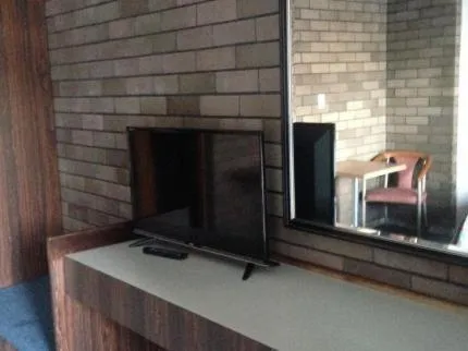TV and multimedia in Downtown Motel