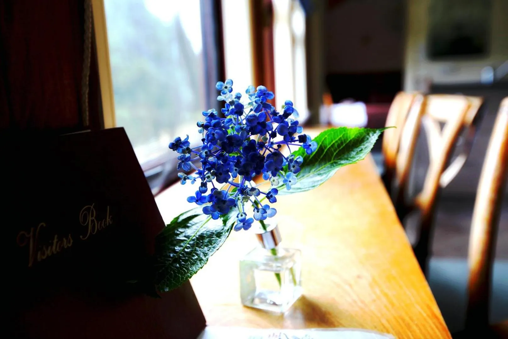 Seating area in Woodlyn Park Motel