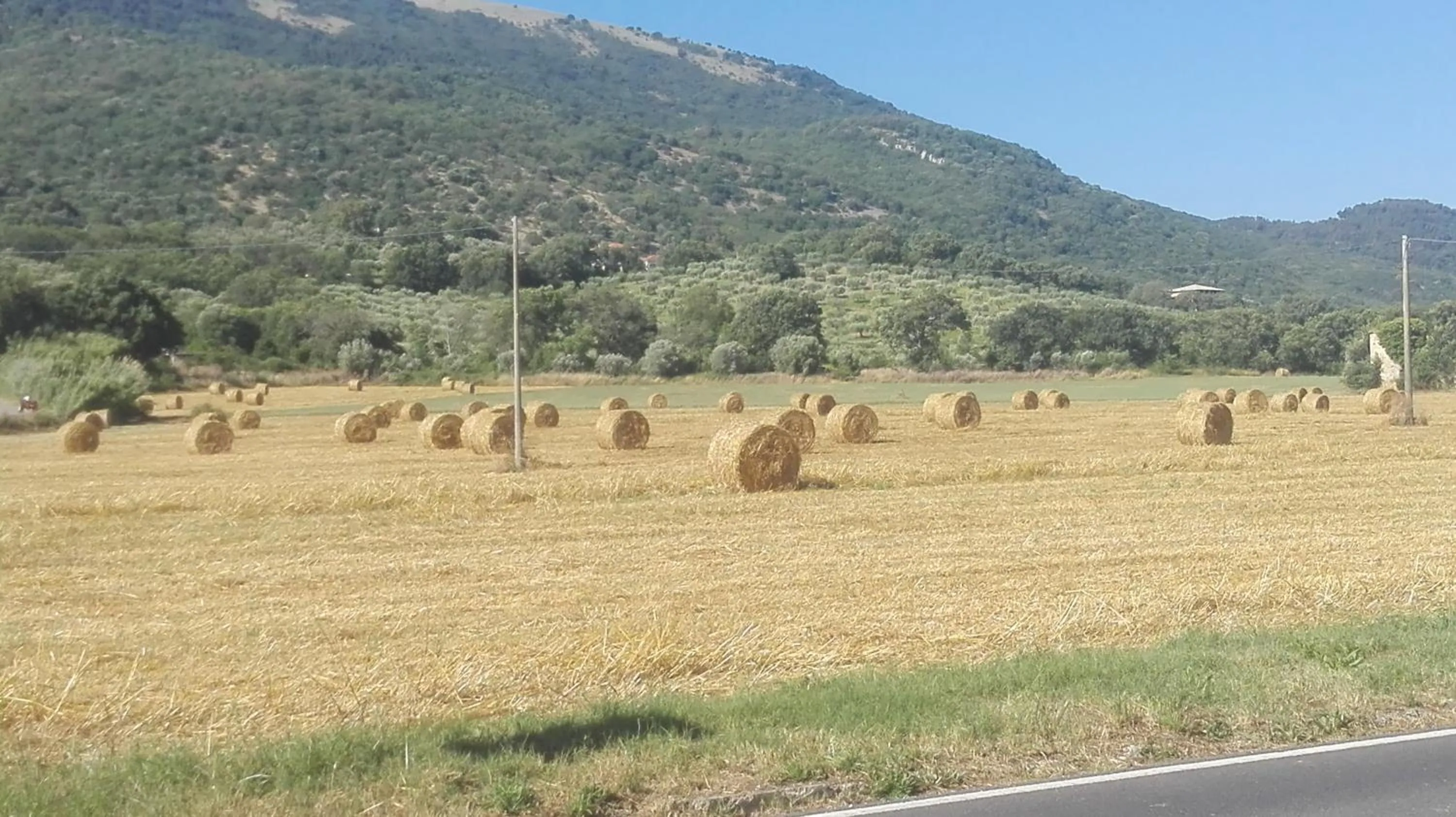 B&B Villa Di Bartolomeo