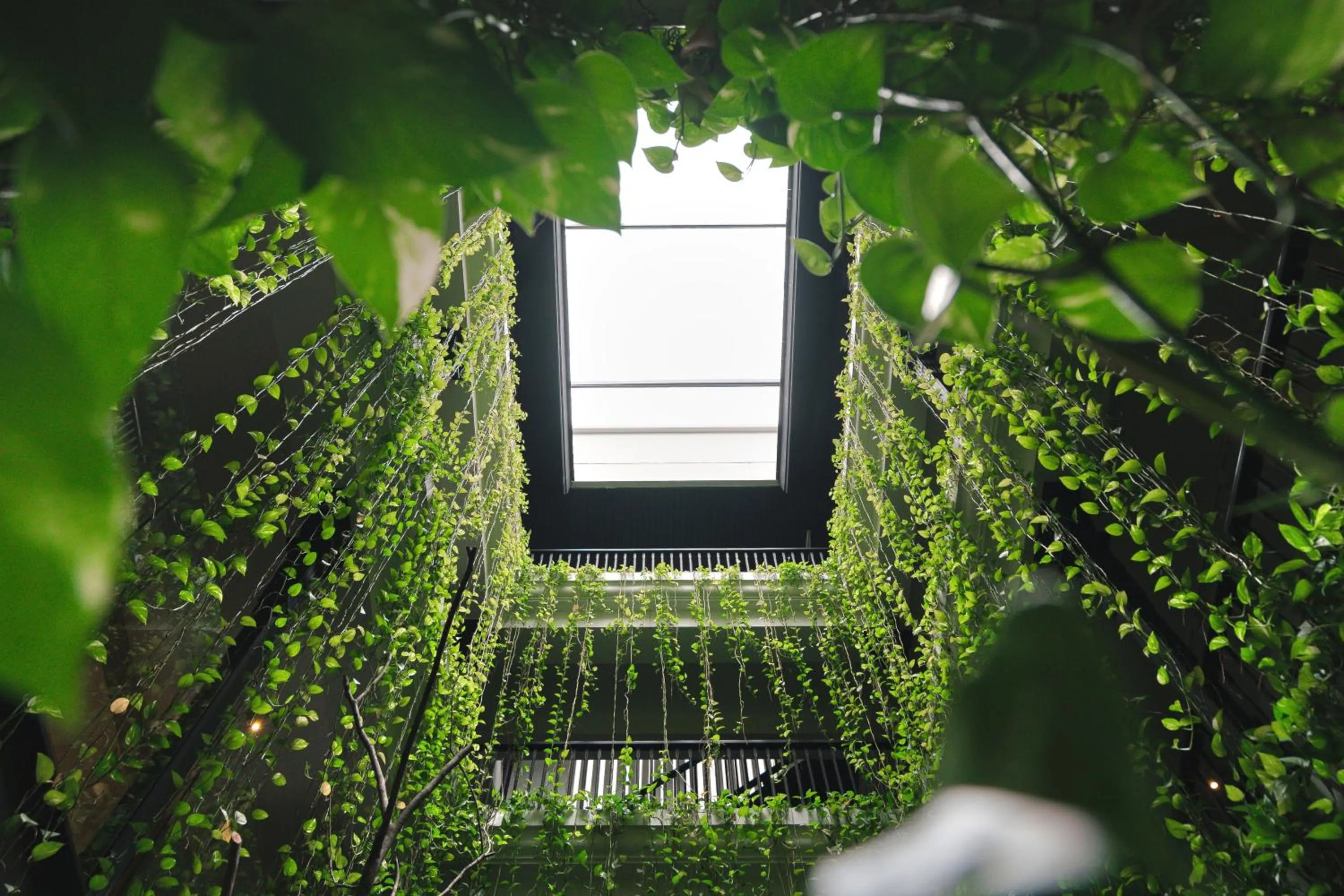 Garden in Makkachiva