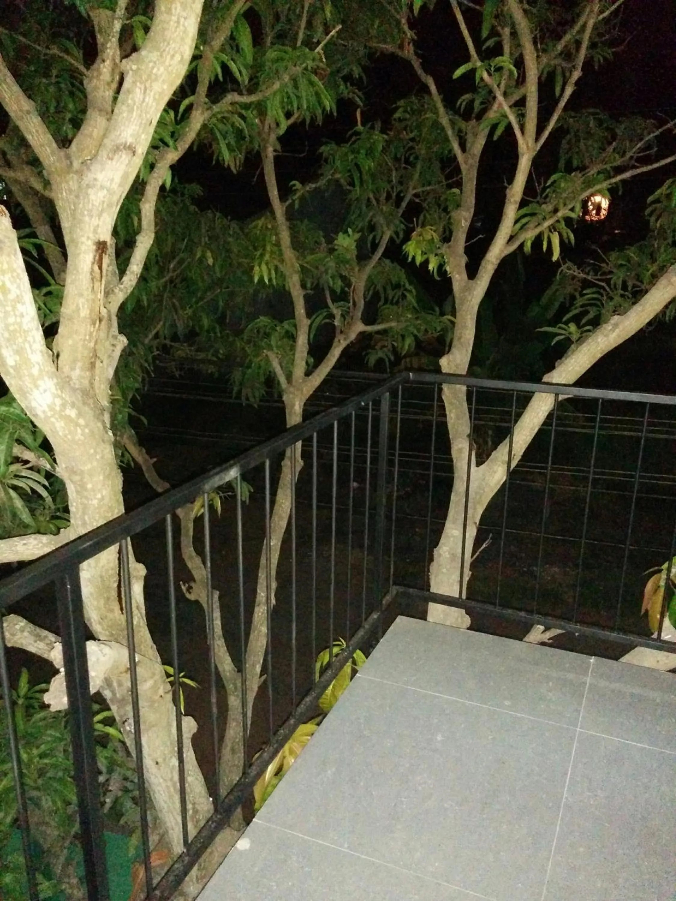 Balcony/Terrace in House of Seya