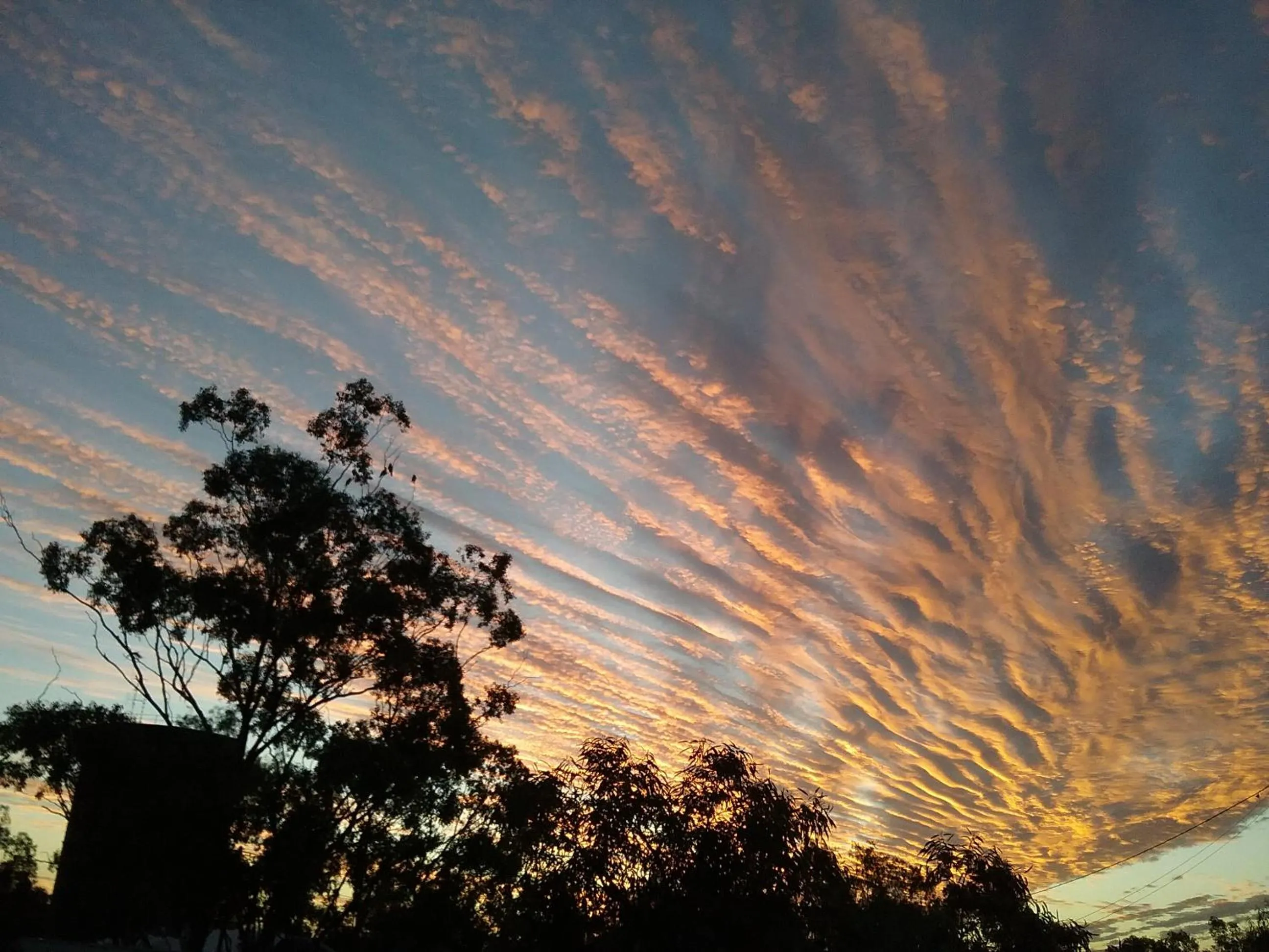 Property building in Sonja's Bed and Breakfast
