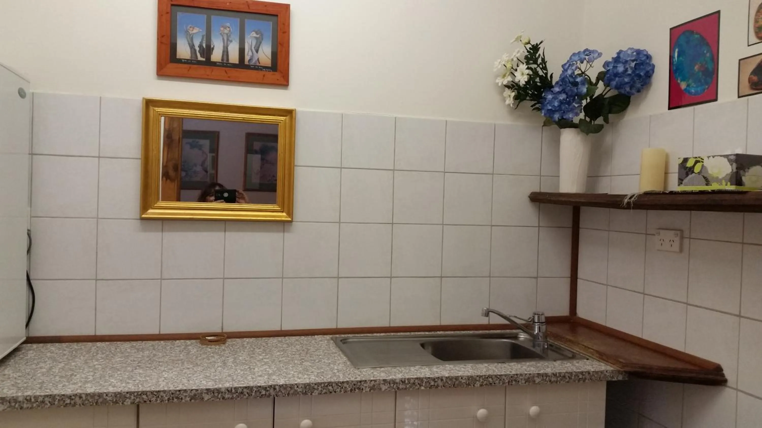 Kitchen or kitchenette in Sonja's Bed and Breakfast