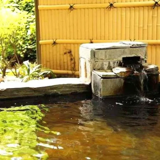 Gora Hotel Paipuno Kemuri Plus