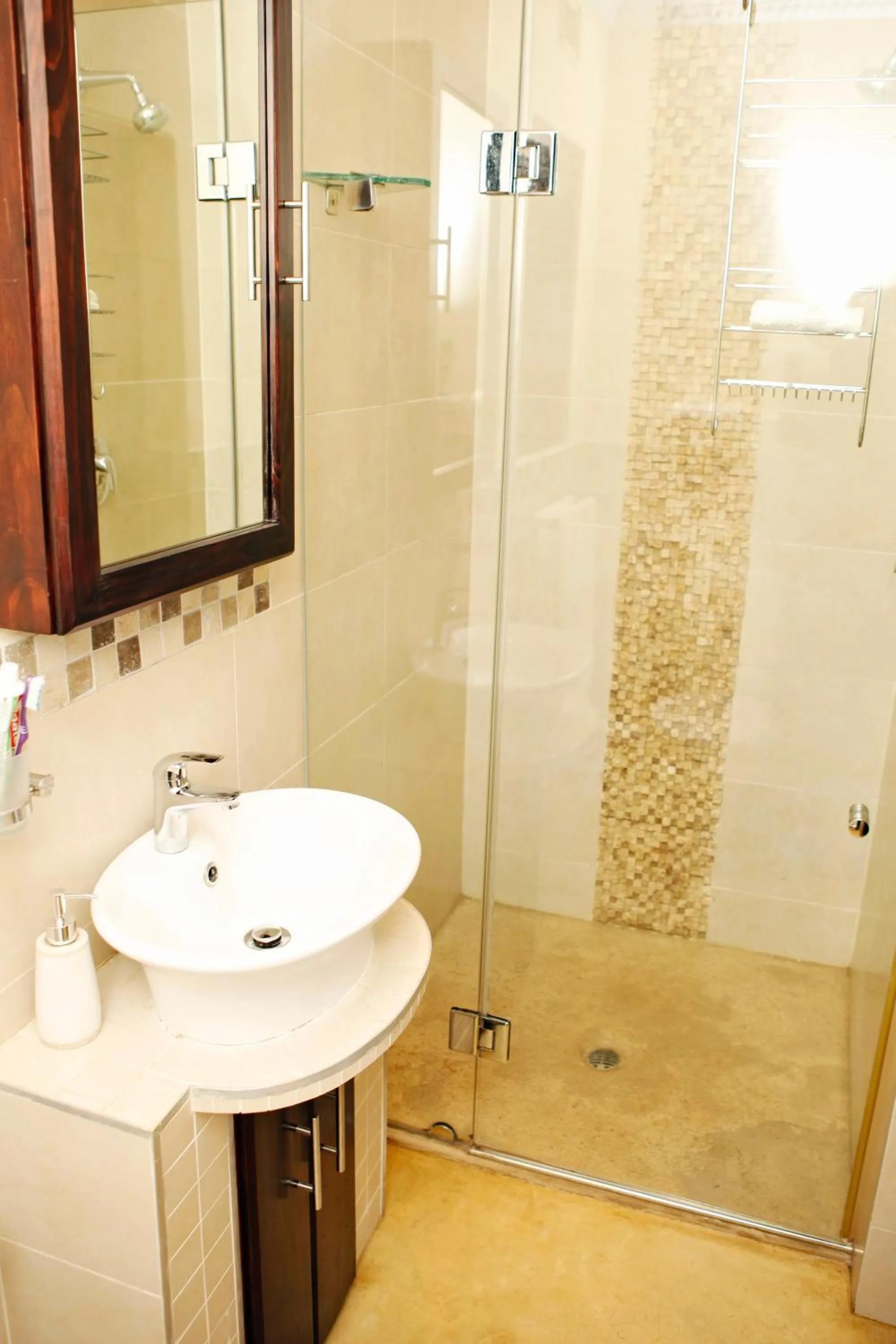 Shower in Aloes No.21