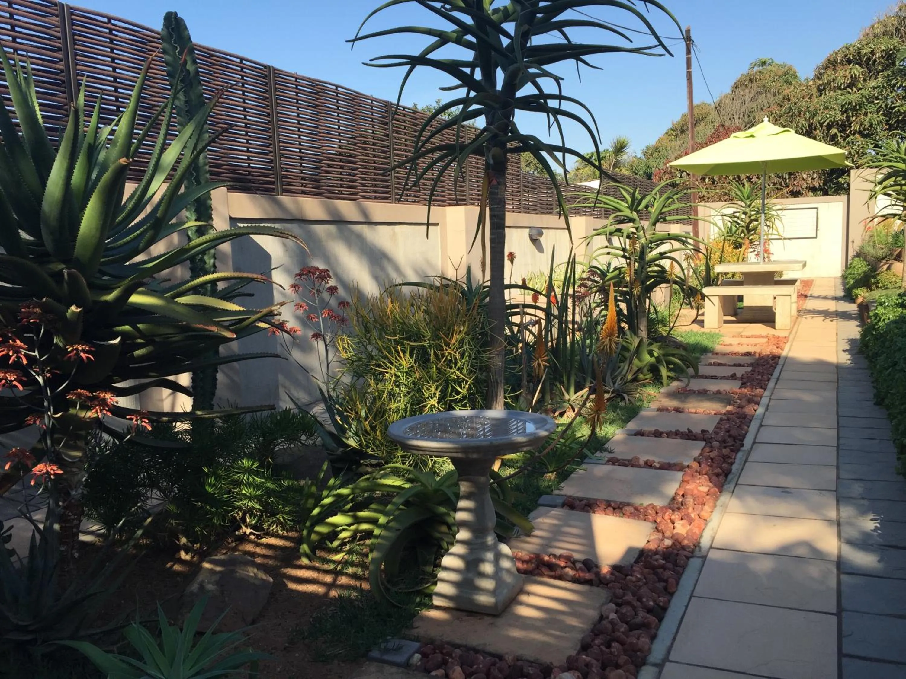 Garden in Aloes No.21