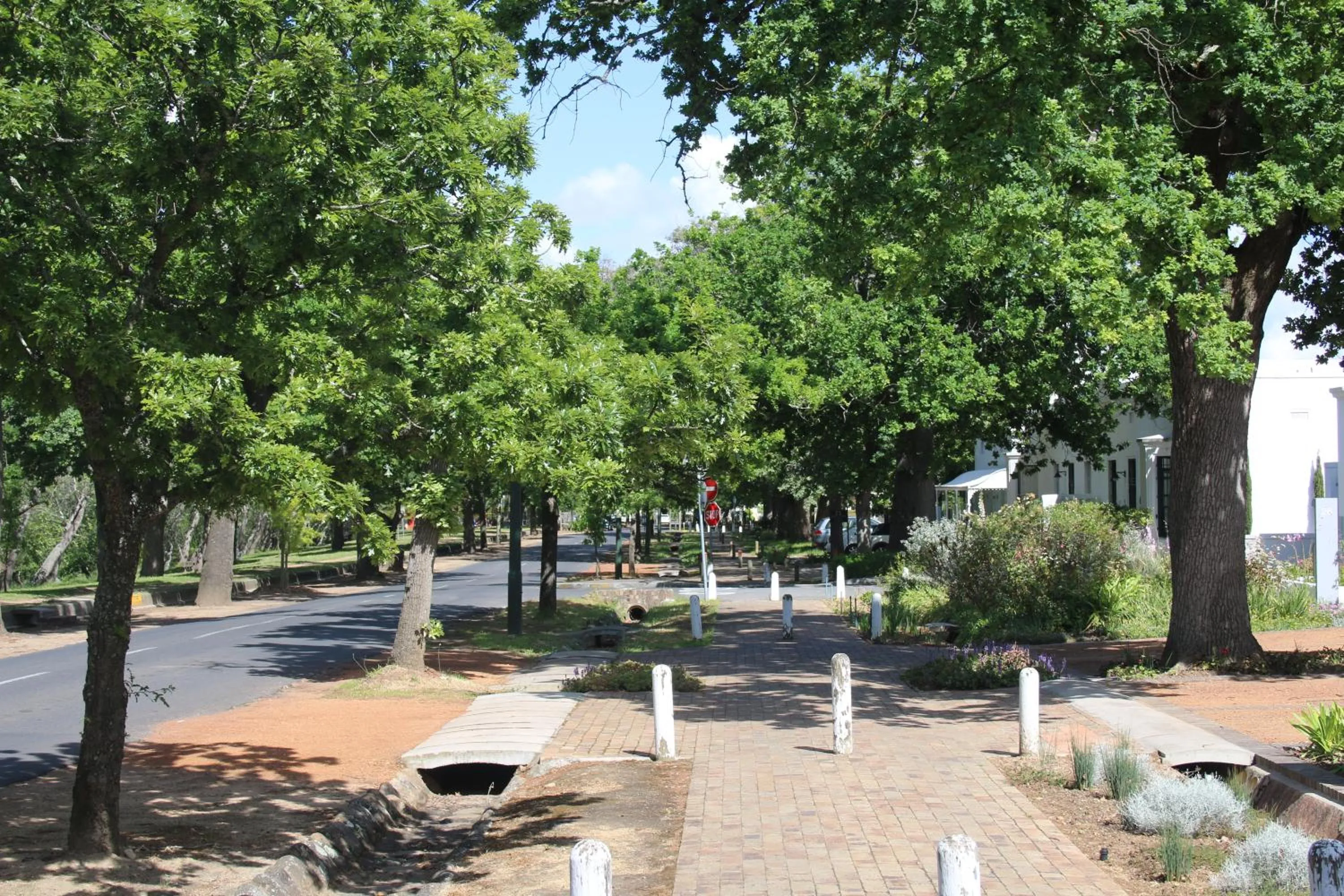 Day in Laanhof Studios