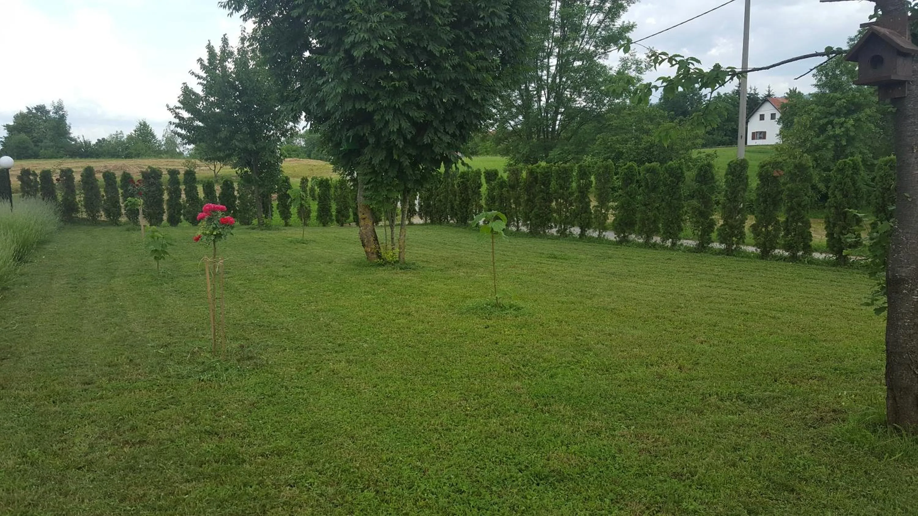 Garden in Villa Stone