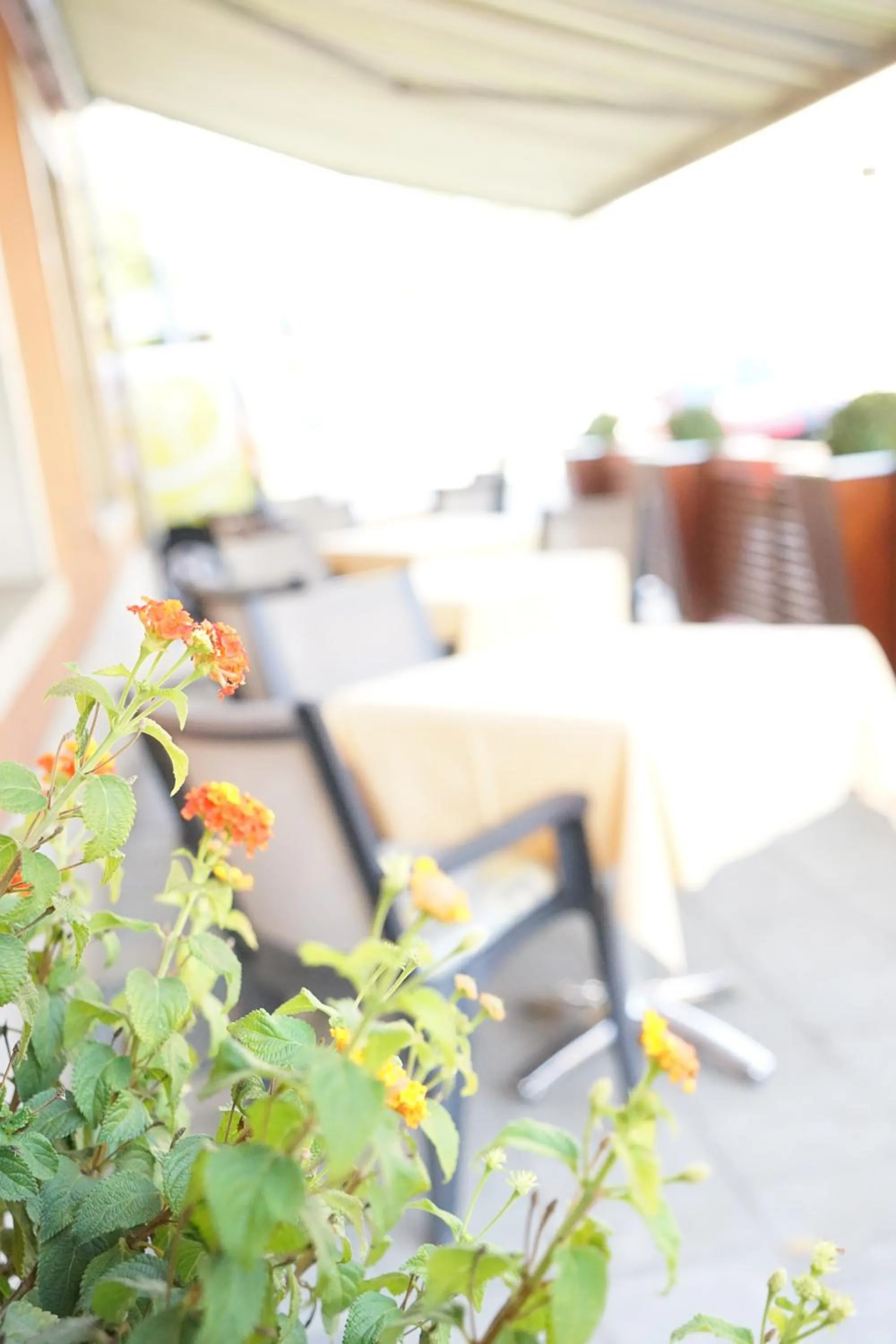Balcony/Terrace in Weidendall