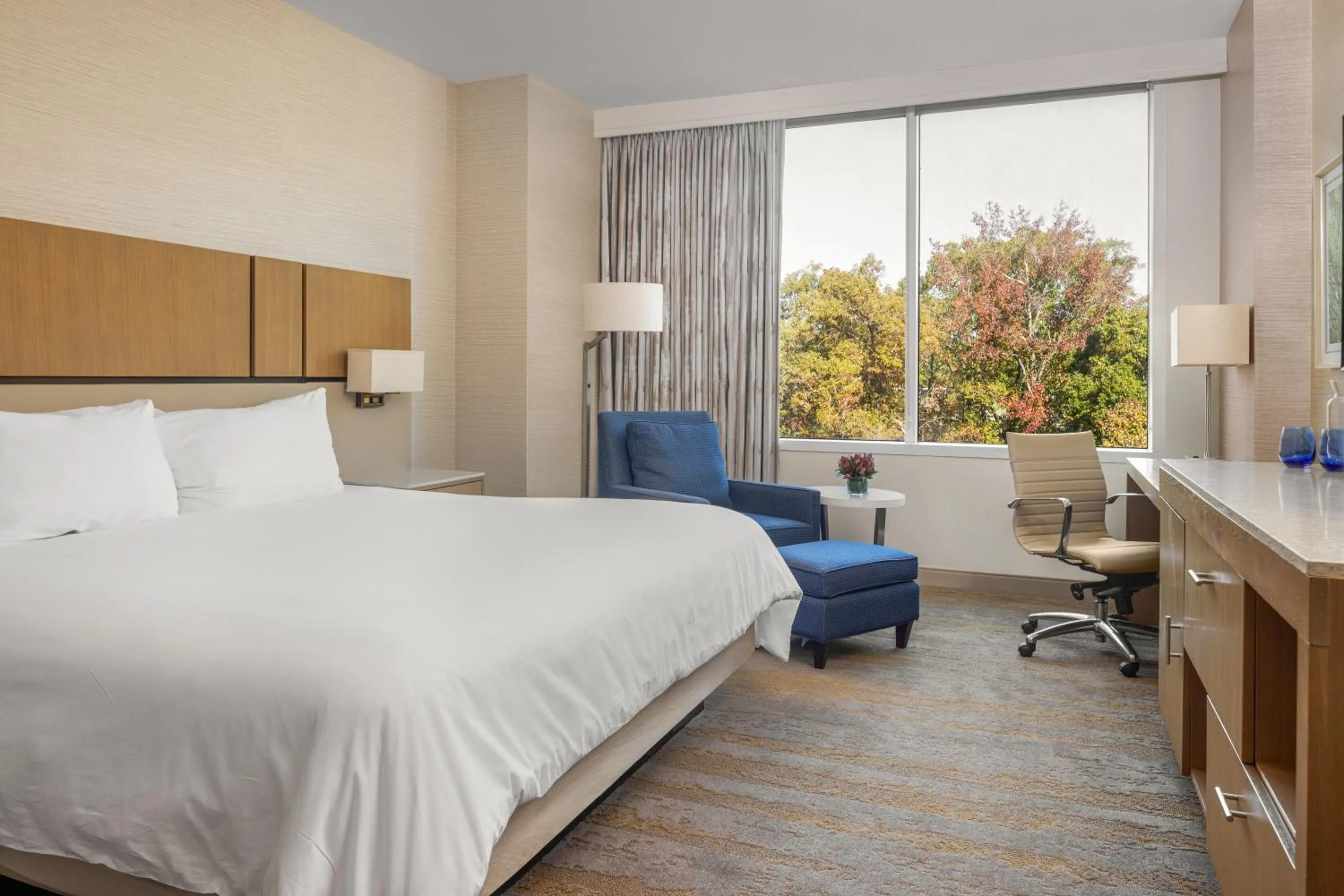 Bedroom, Bed in JB Duke Hotel