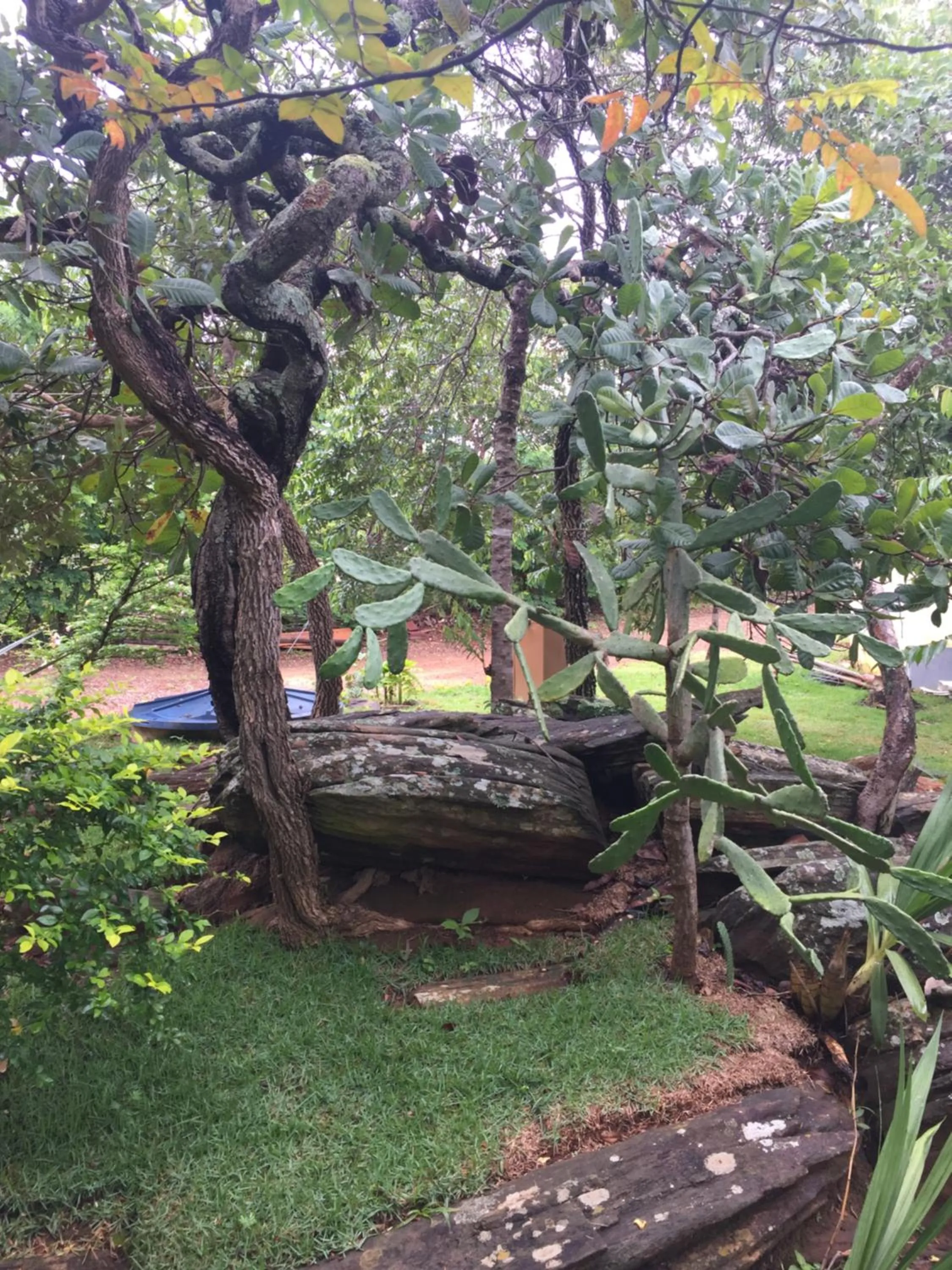 Garden view in Pousada Recanto das Pedras São Leopoldo