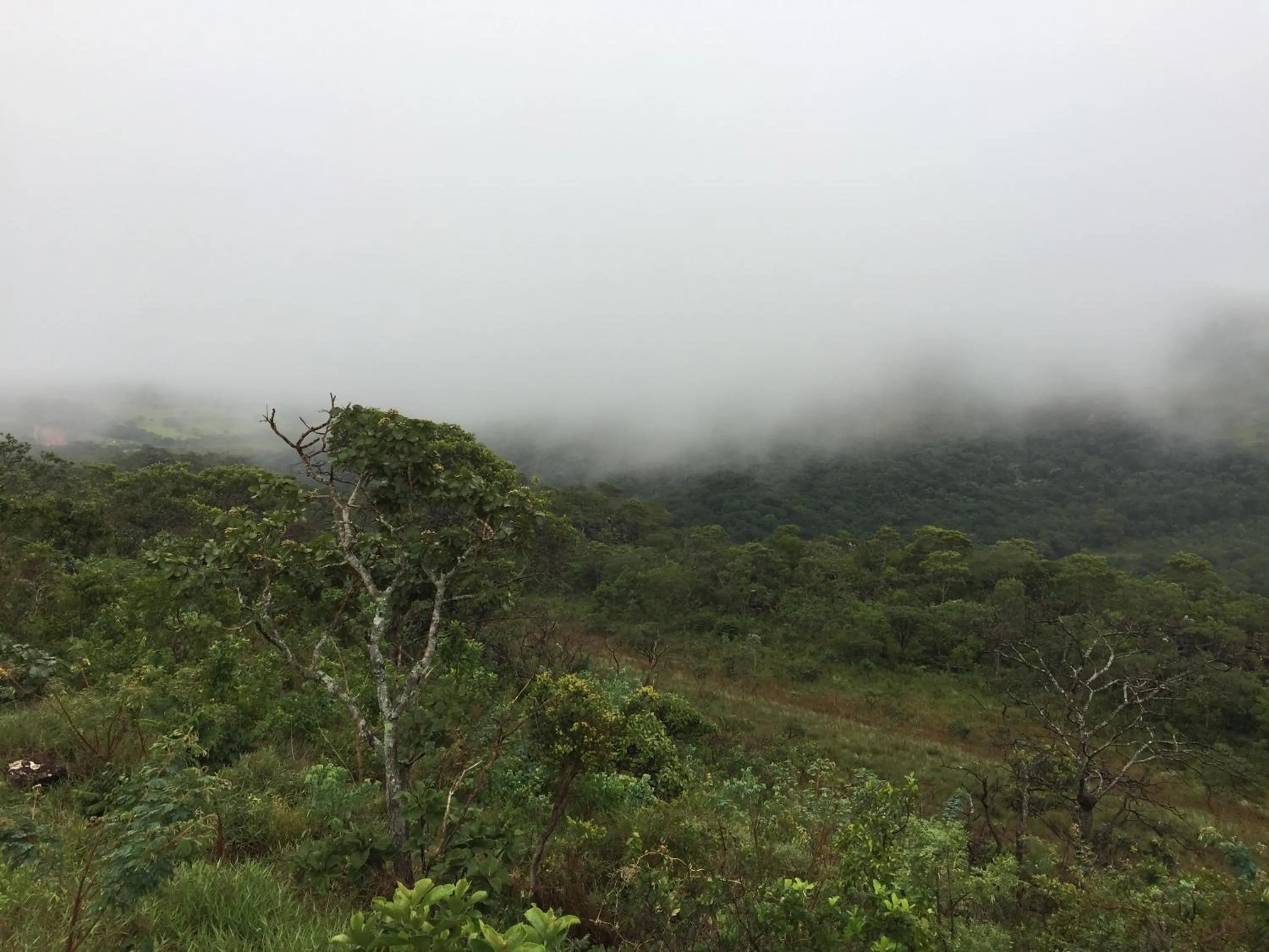 Garden view in Pousada Recanto das Pedras São Leopoldo