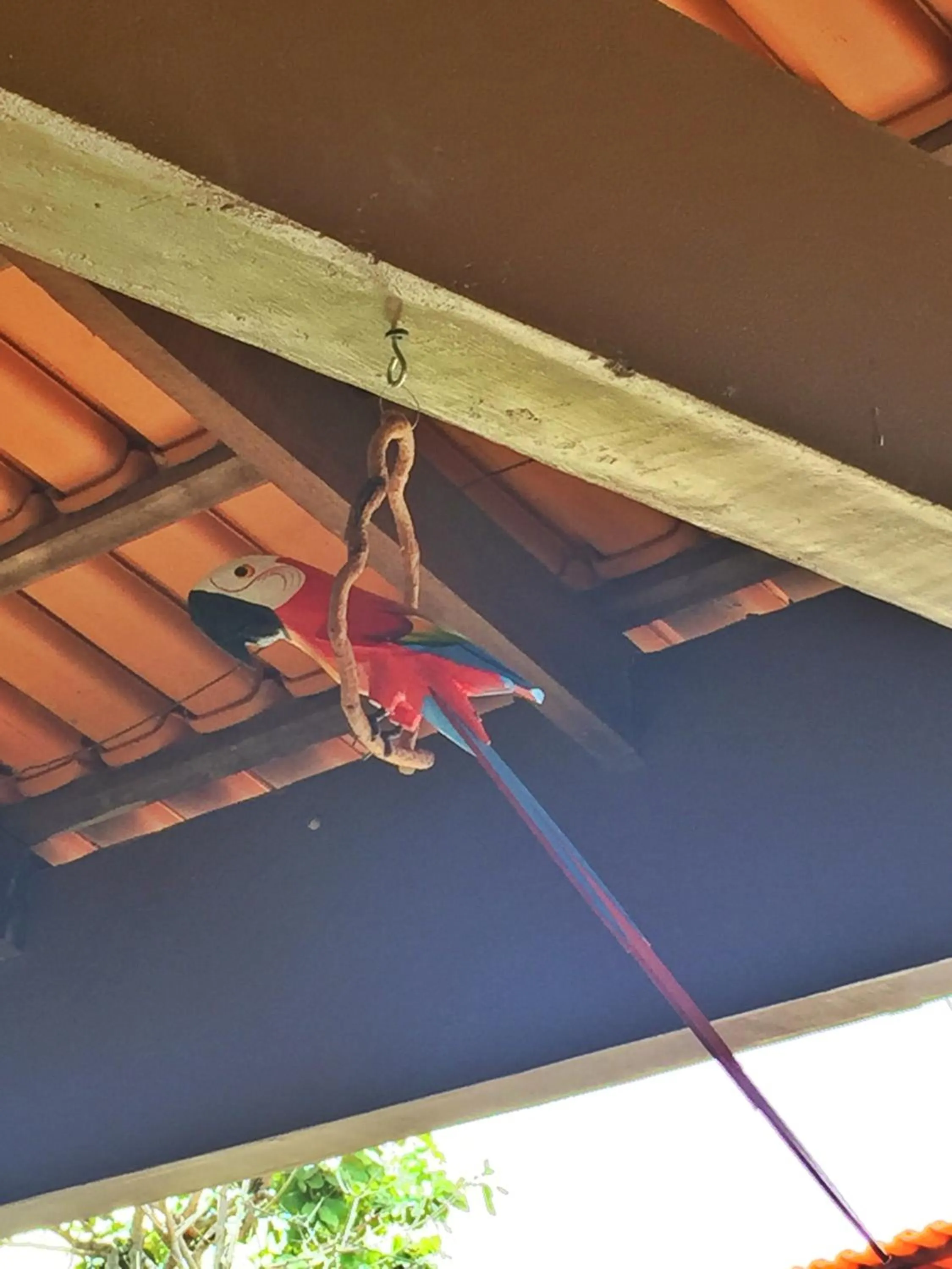 Decorative detail in Pousada Recanto das Pedras São Leopoldo