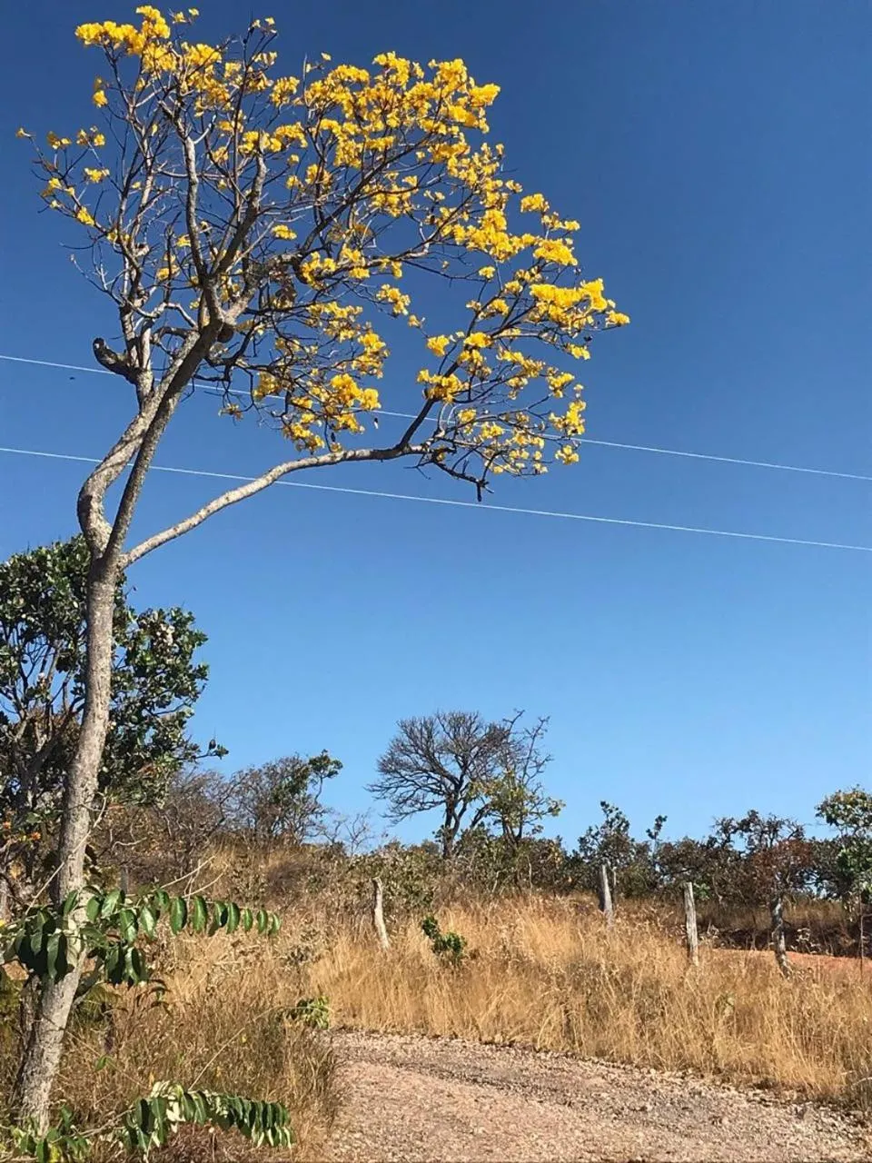 View (from property/room) in Pousada Recanto das Pedras São Leopoldo