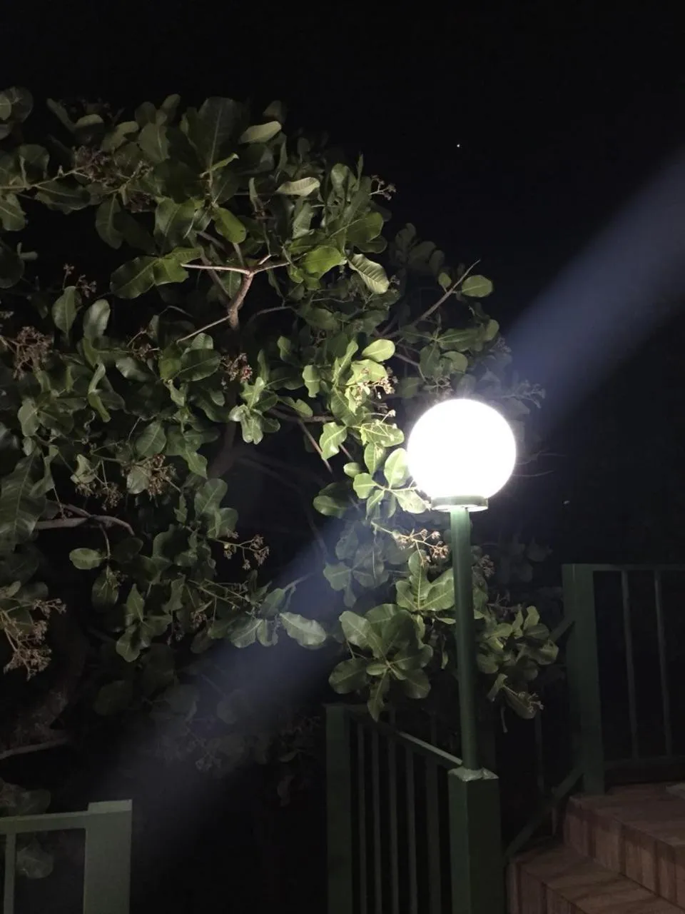 Garden view in Pousada Recanto das Pedras São Leopoldo