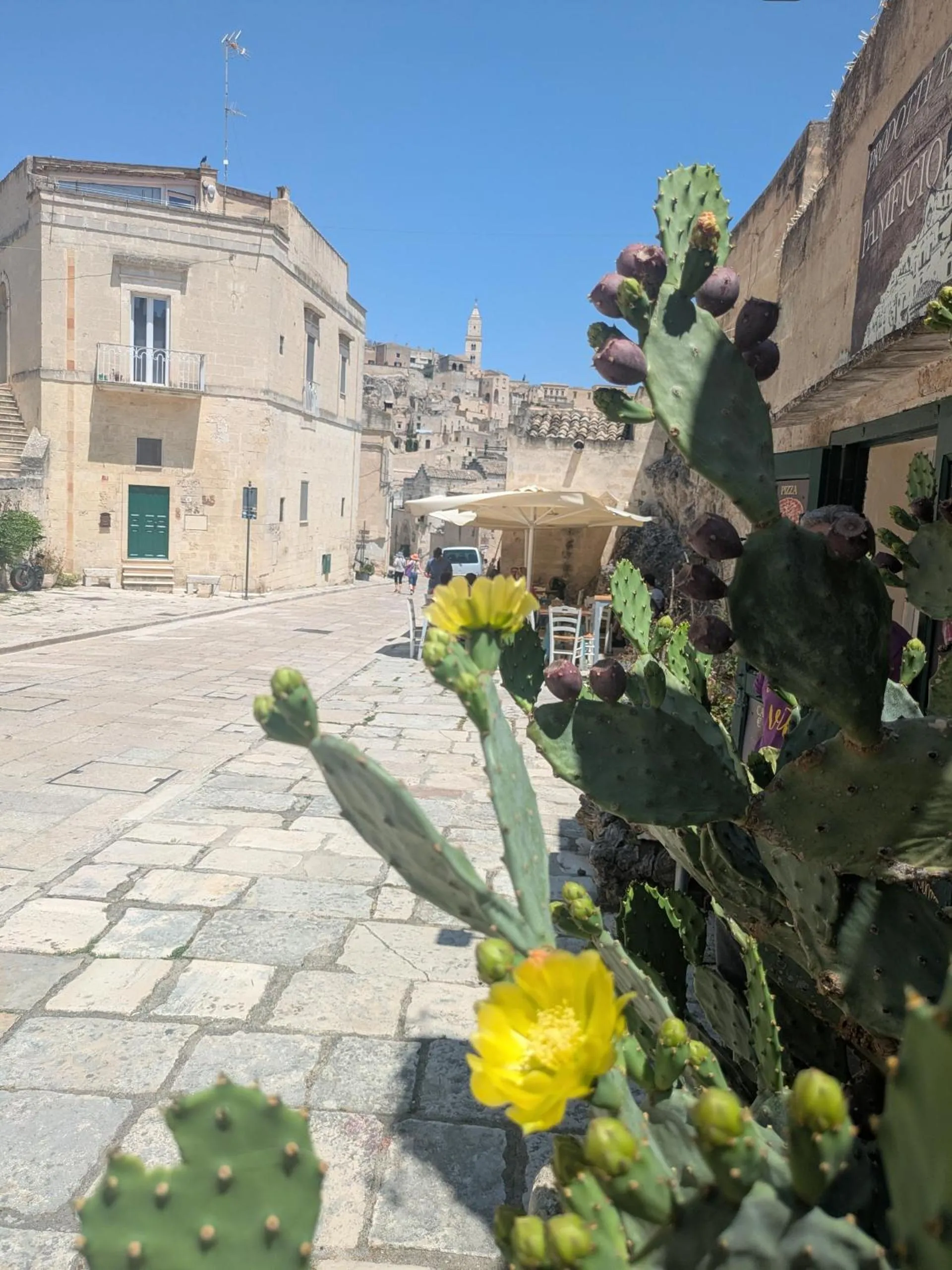 Nearby landmark in Il Geco