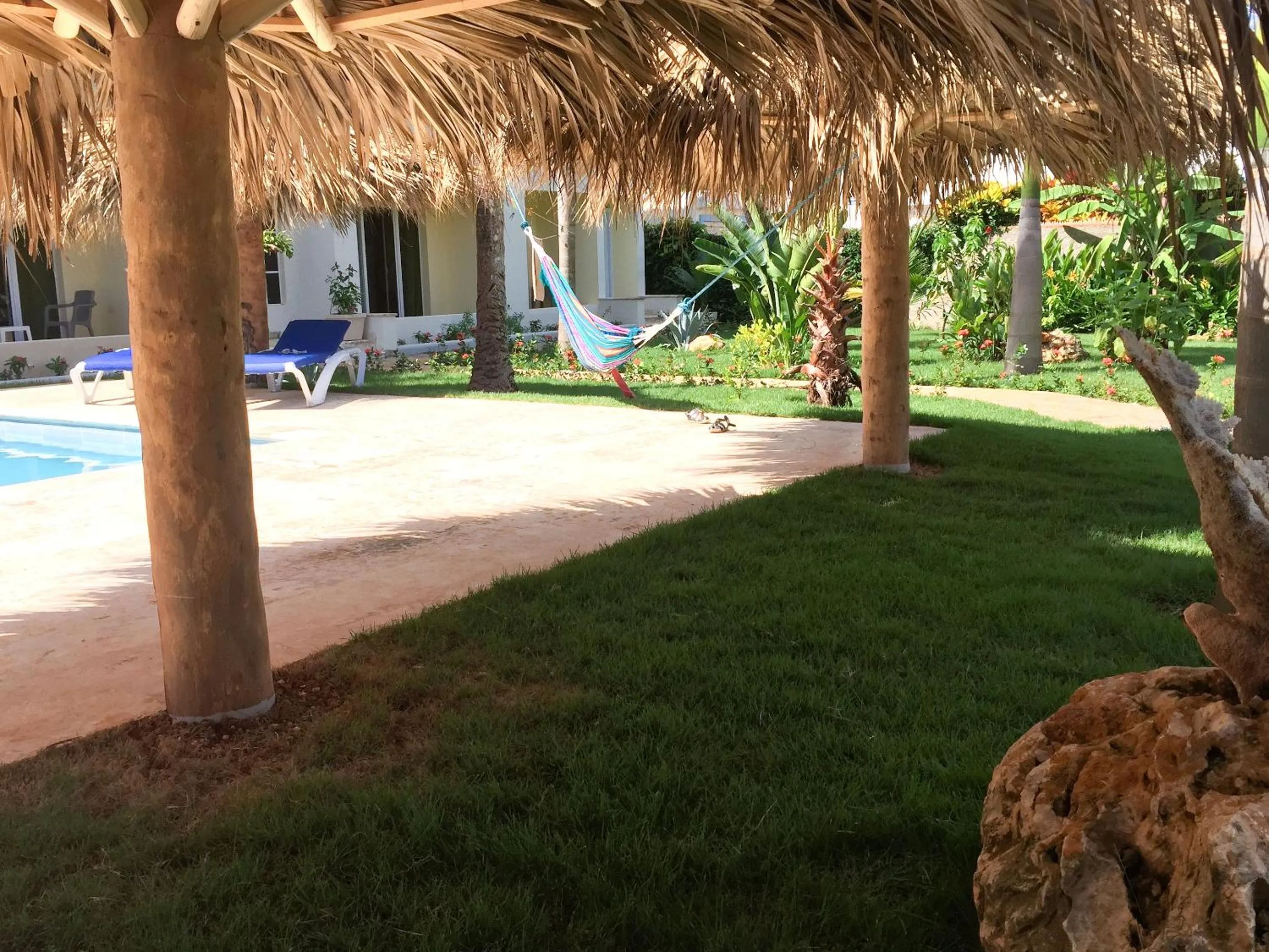 Area and facilities in Las Galeras Hotel