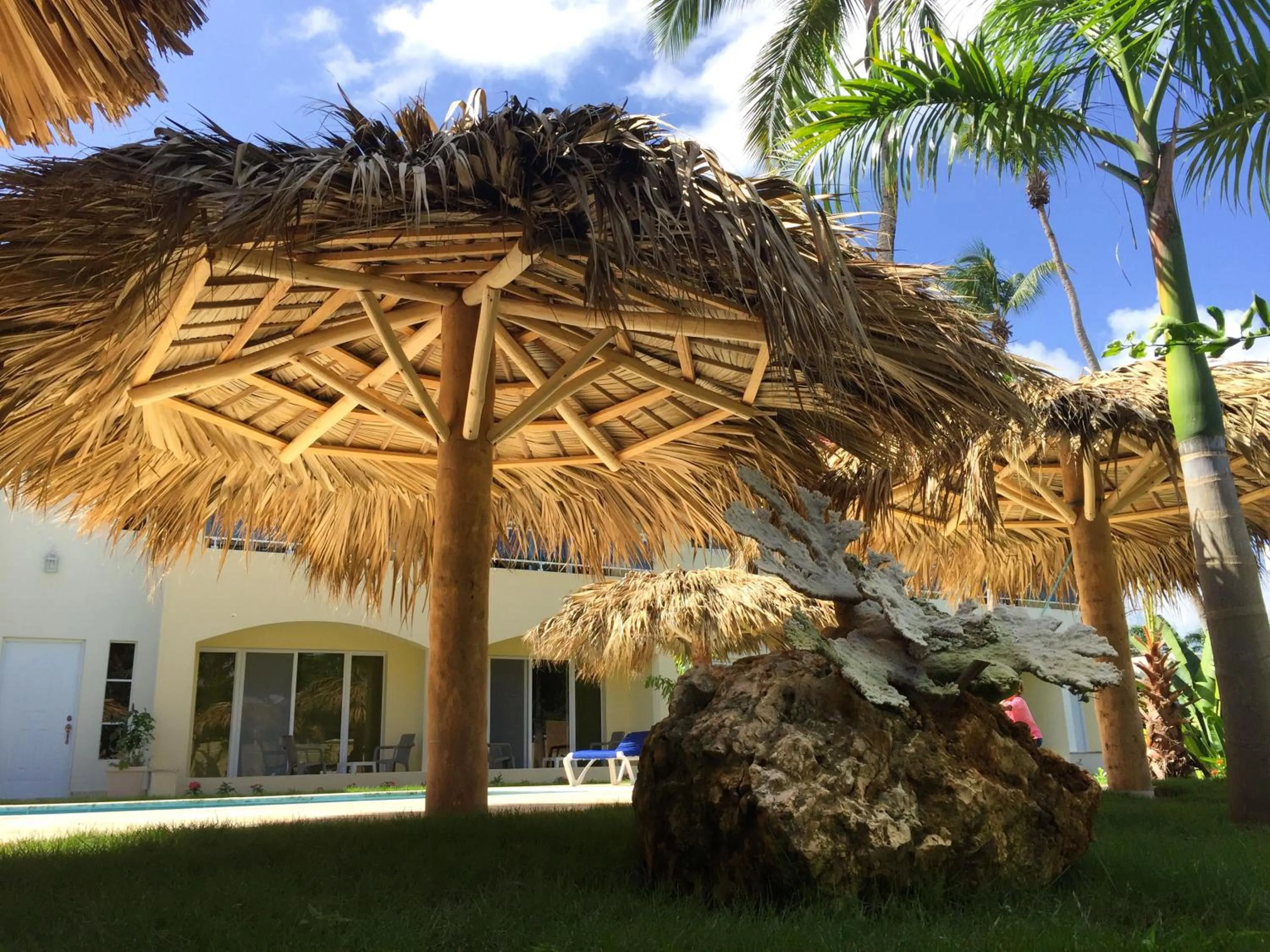 Garden in Las Galeras Hotel