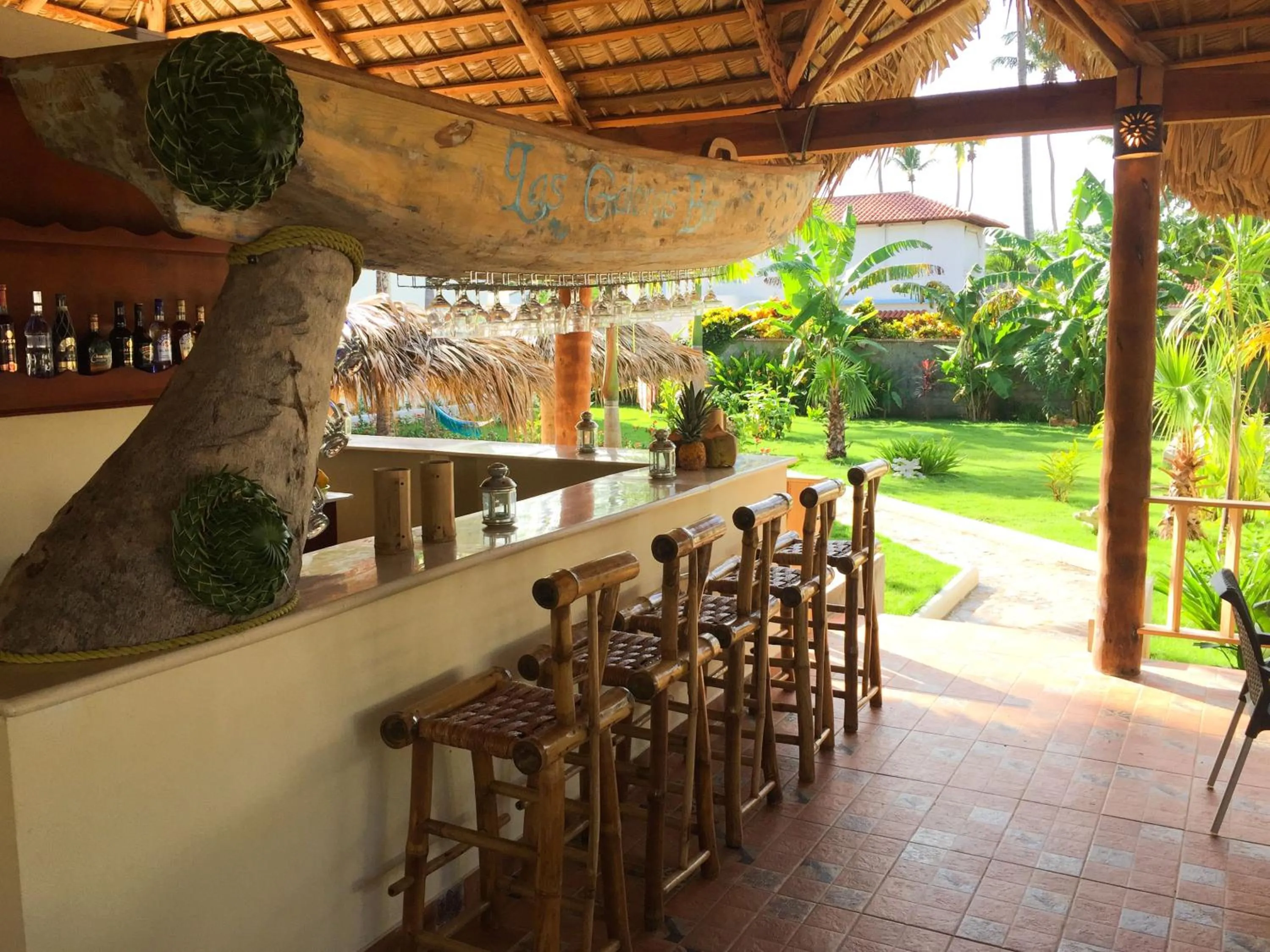 Garden in Las Galeras Hotel
