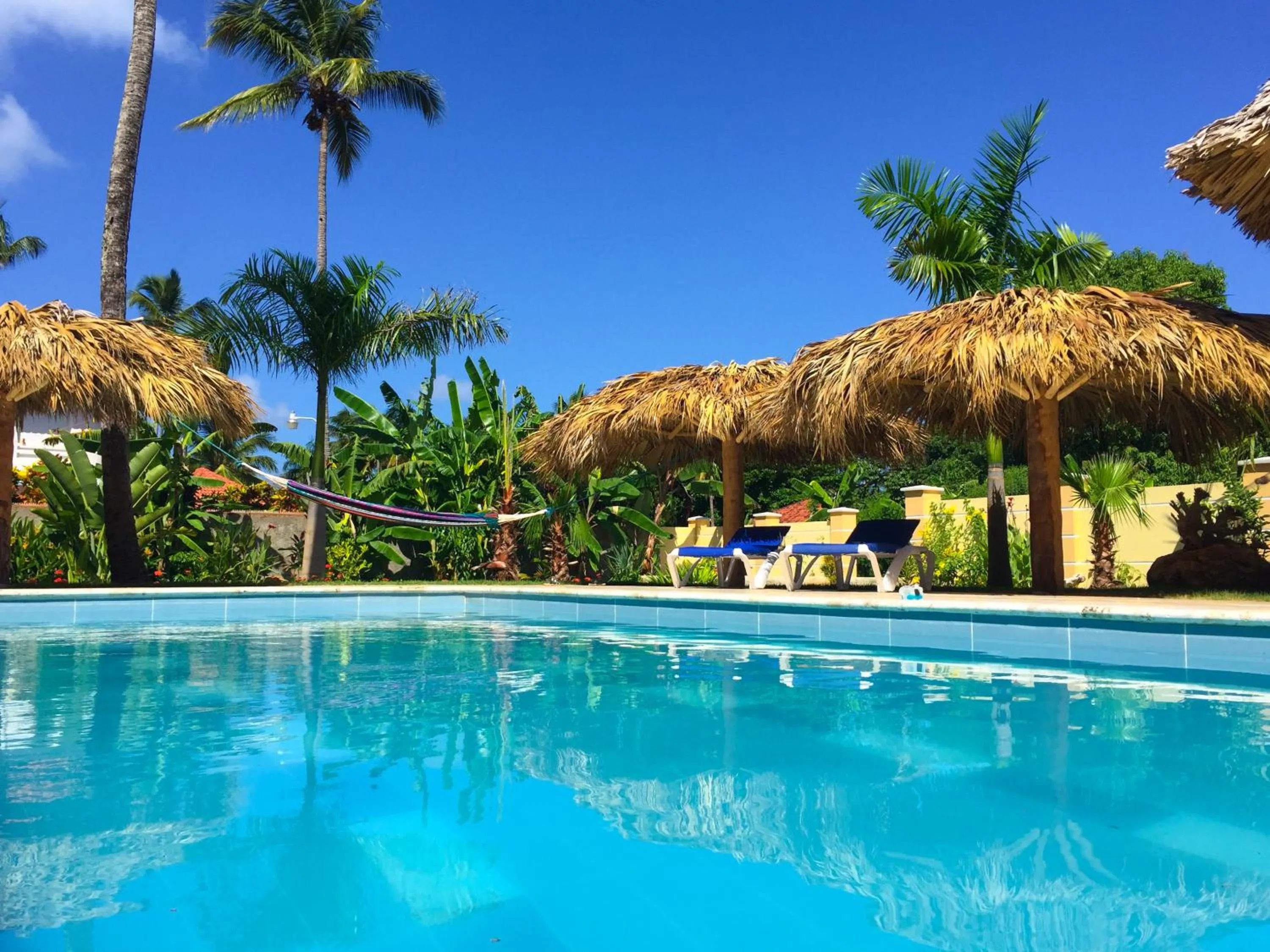 Swimming pool in Las Galeras Hotel