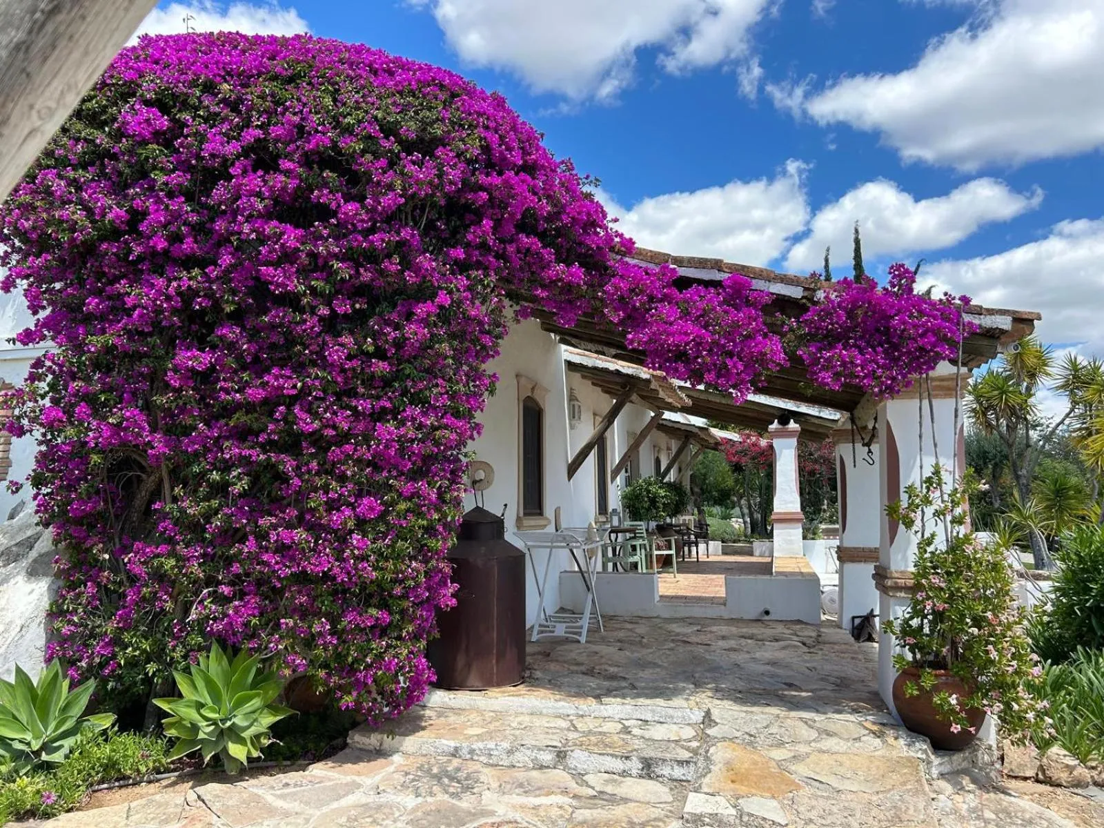 FLH Belaventura Villa