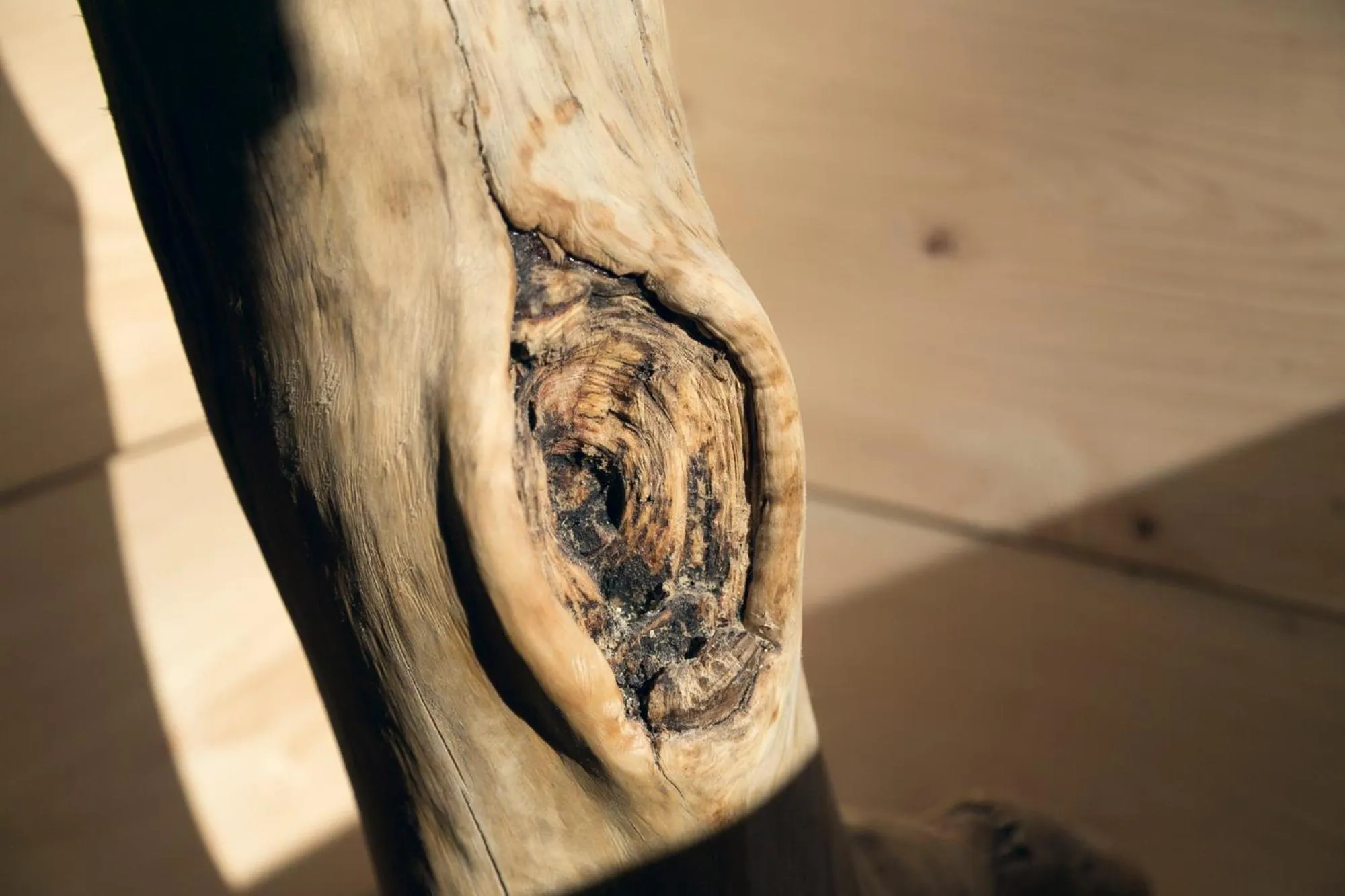 Photo of the whole room in Ryokan Mokuzin