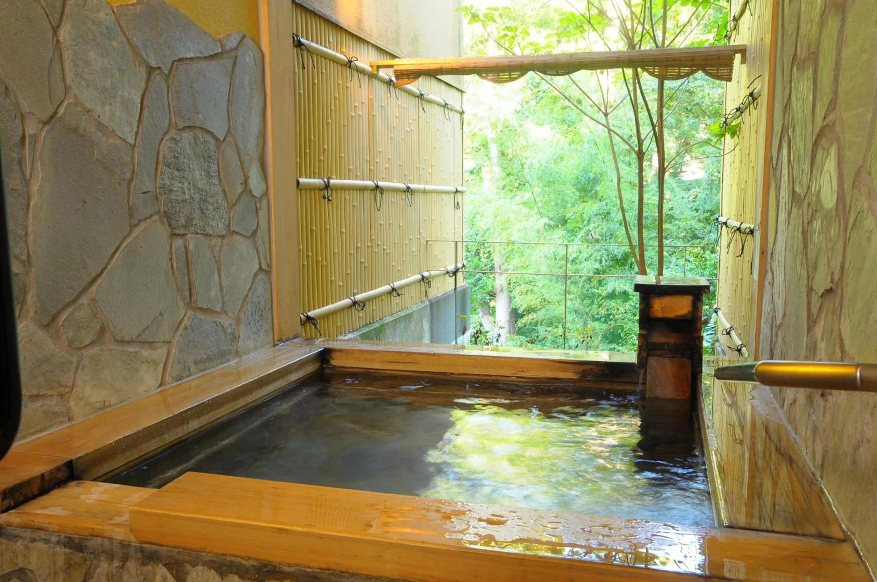 Hot Spring Bath in Atami Hotel Paipuno Kemuri