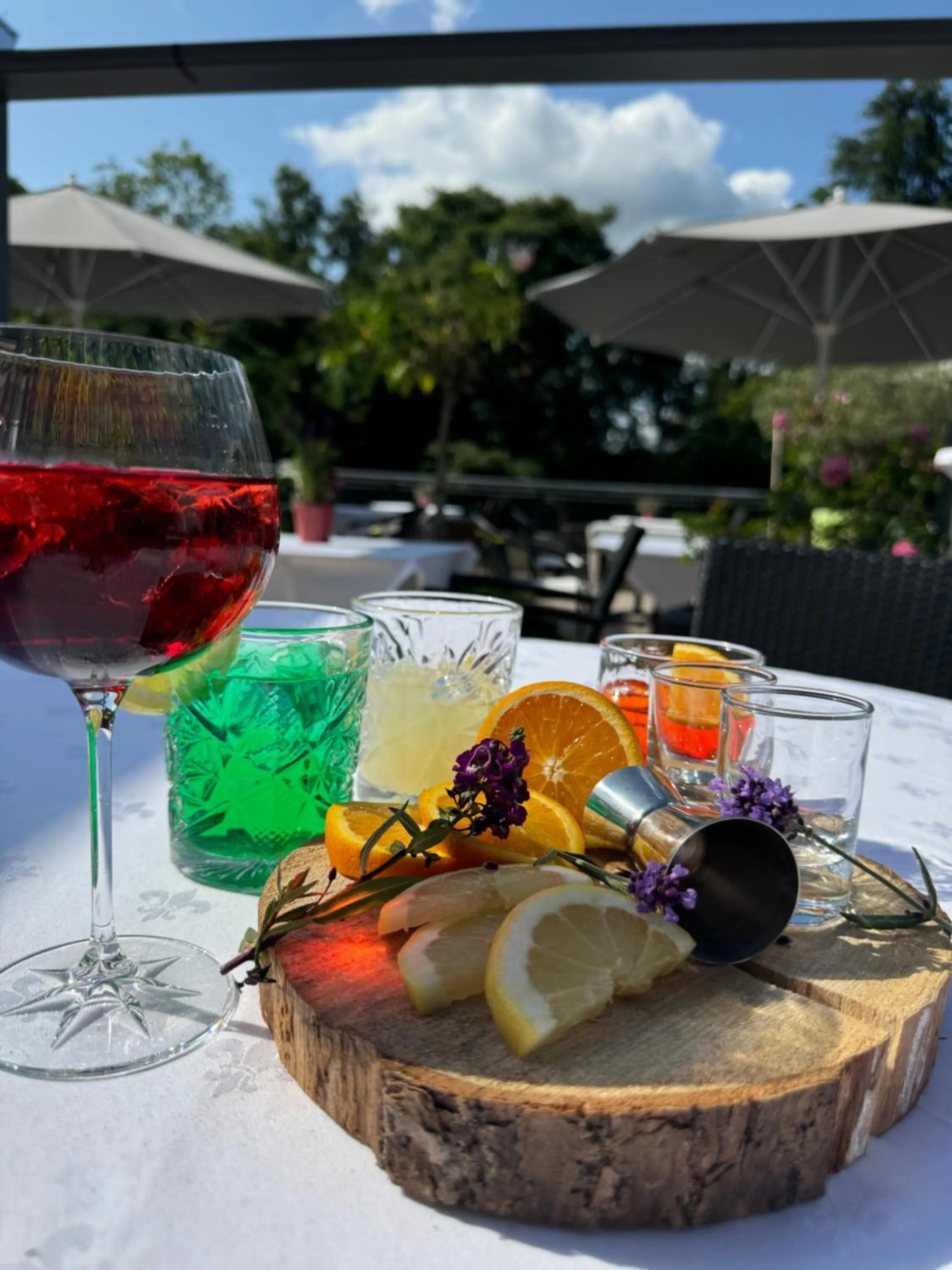Balcony/Terrace in Hotel Bel Air Trail & Wellness