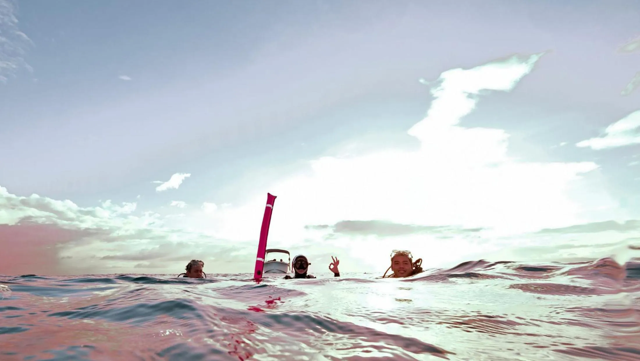 Diving in Cabilao Sanctuary Beach & Dive Resort