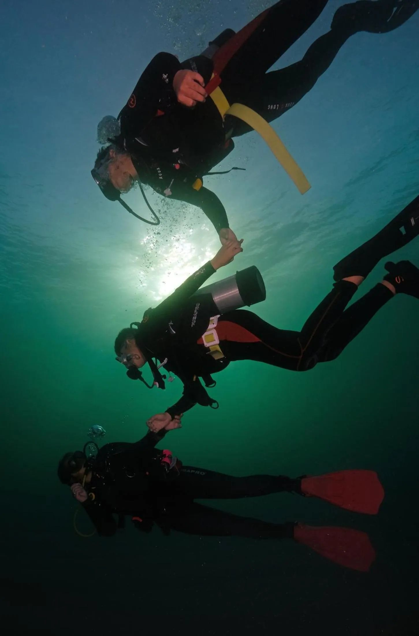 Diving in Cabilao Sanctuary Beach & Dive Resort