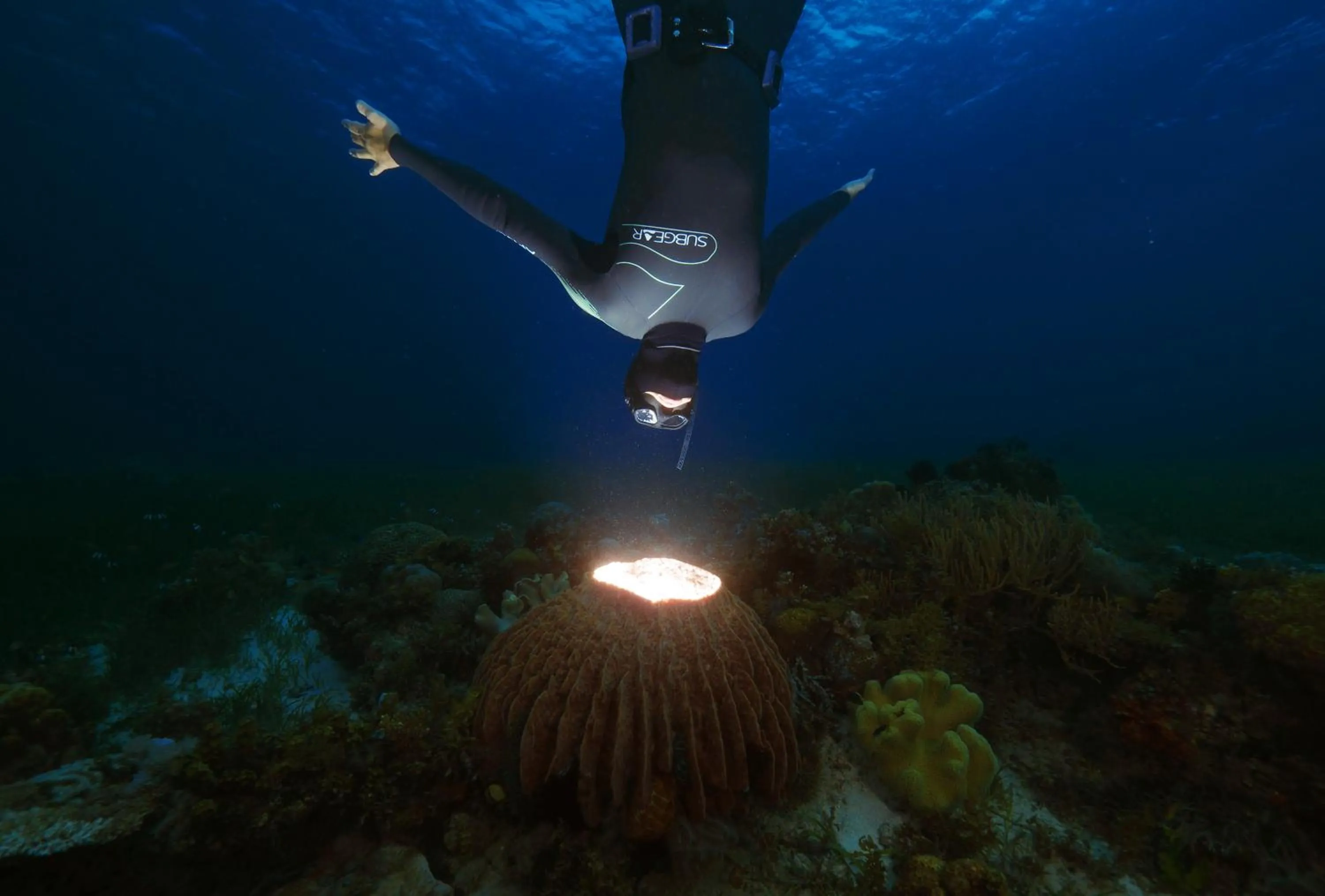 Property building in Cabilao Sanctuary Beach & Dive Resort