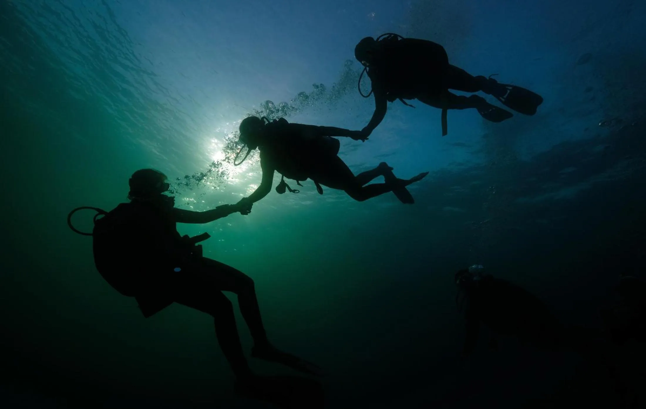 Diving in Cabilao Sanctuary Beach & Dive Resort
