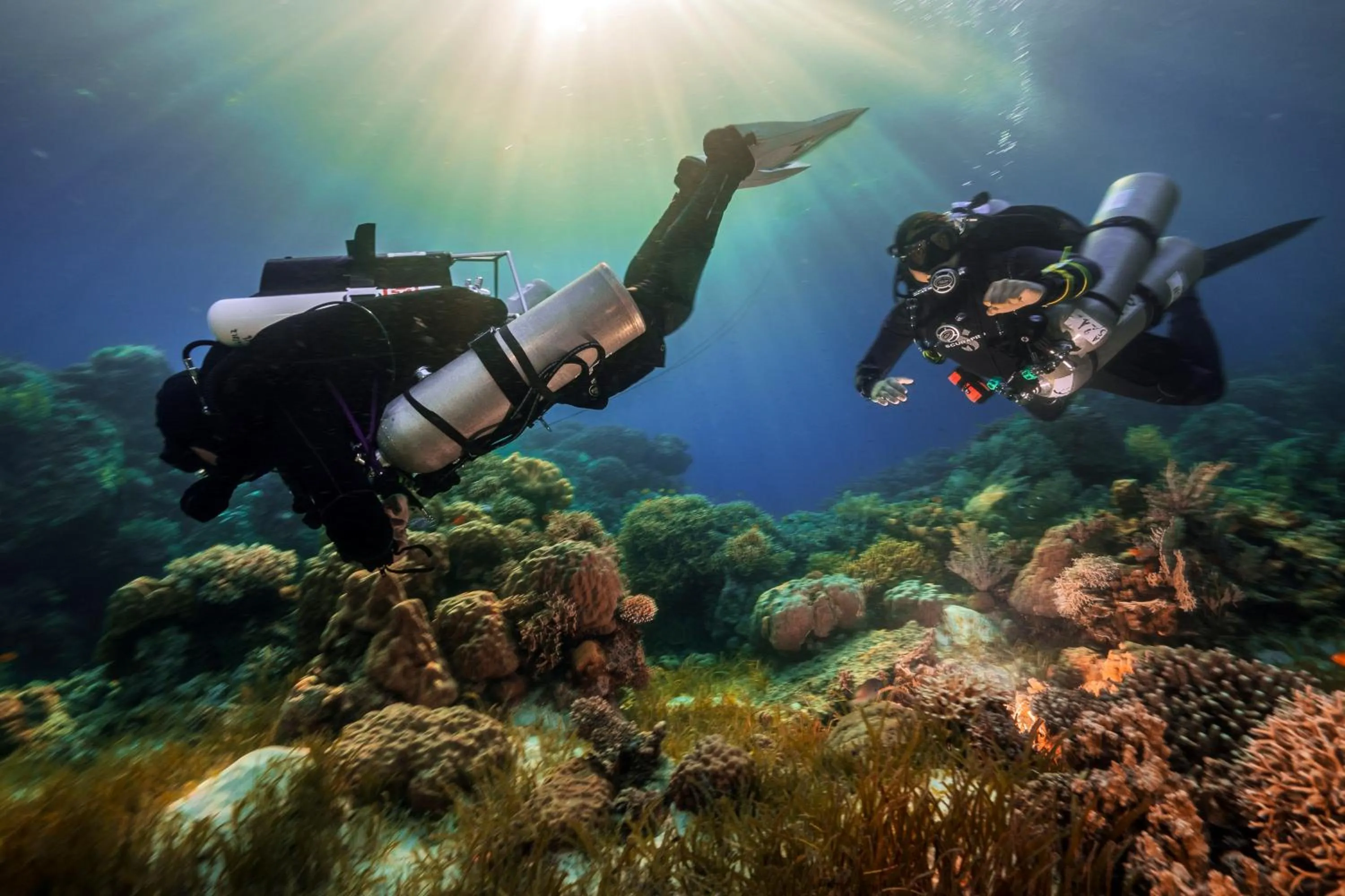 Snorkeling in Cabilao Sanctuary Beach & Dive Resort