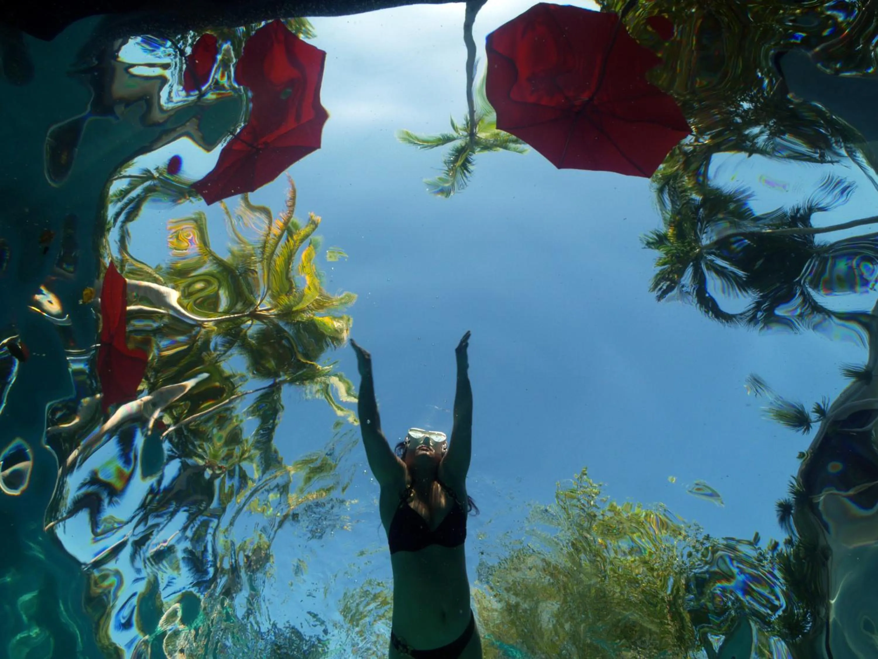 Property building in Cabilao Sanctuary Beach & Dive Resort