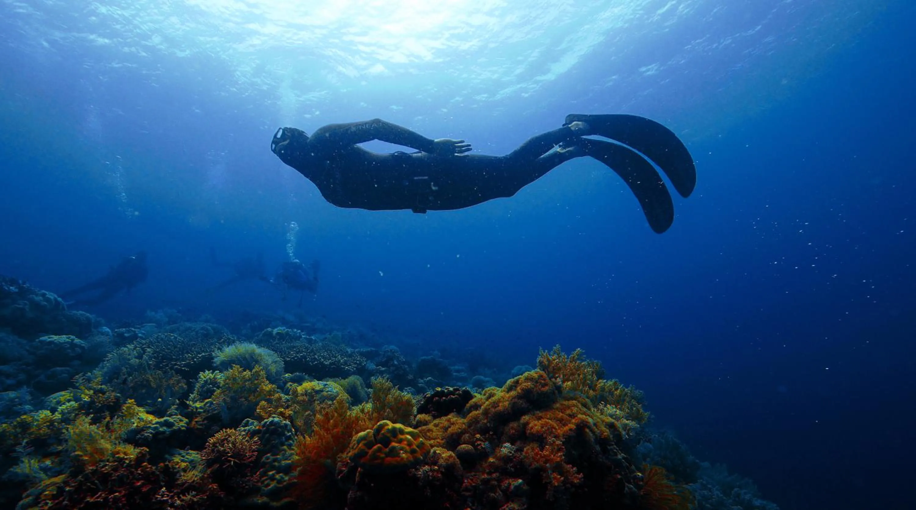 Property building in Cabilao Sanctuary Beach & Dive Resort