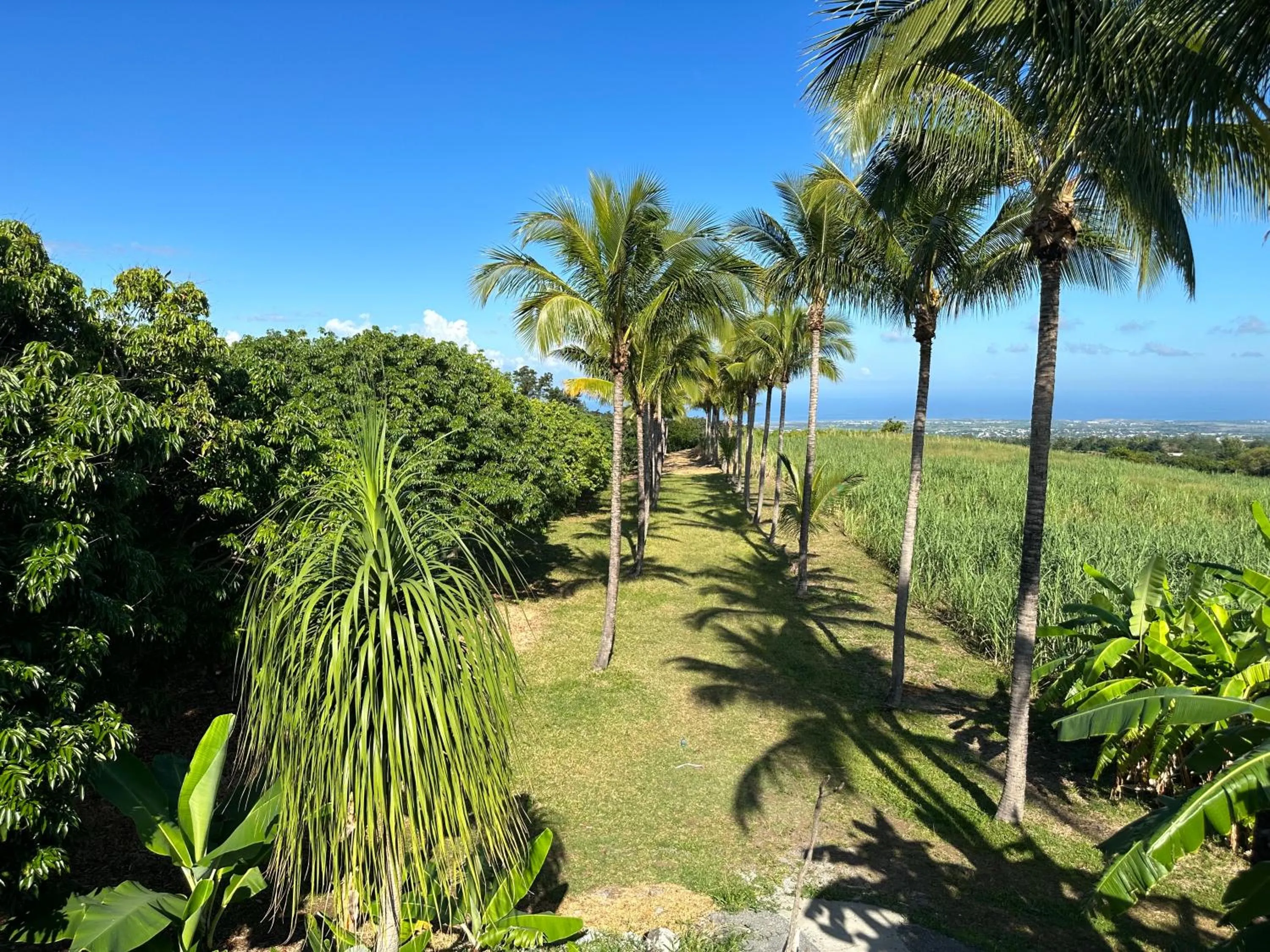 Garden in Zoiseaux Pays