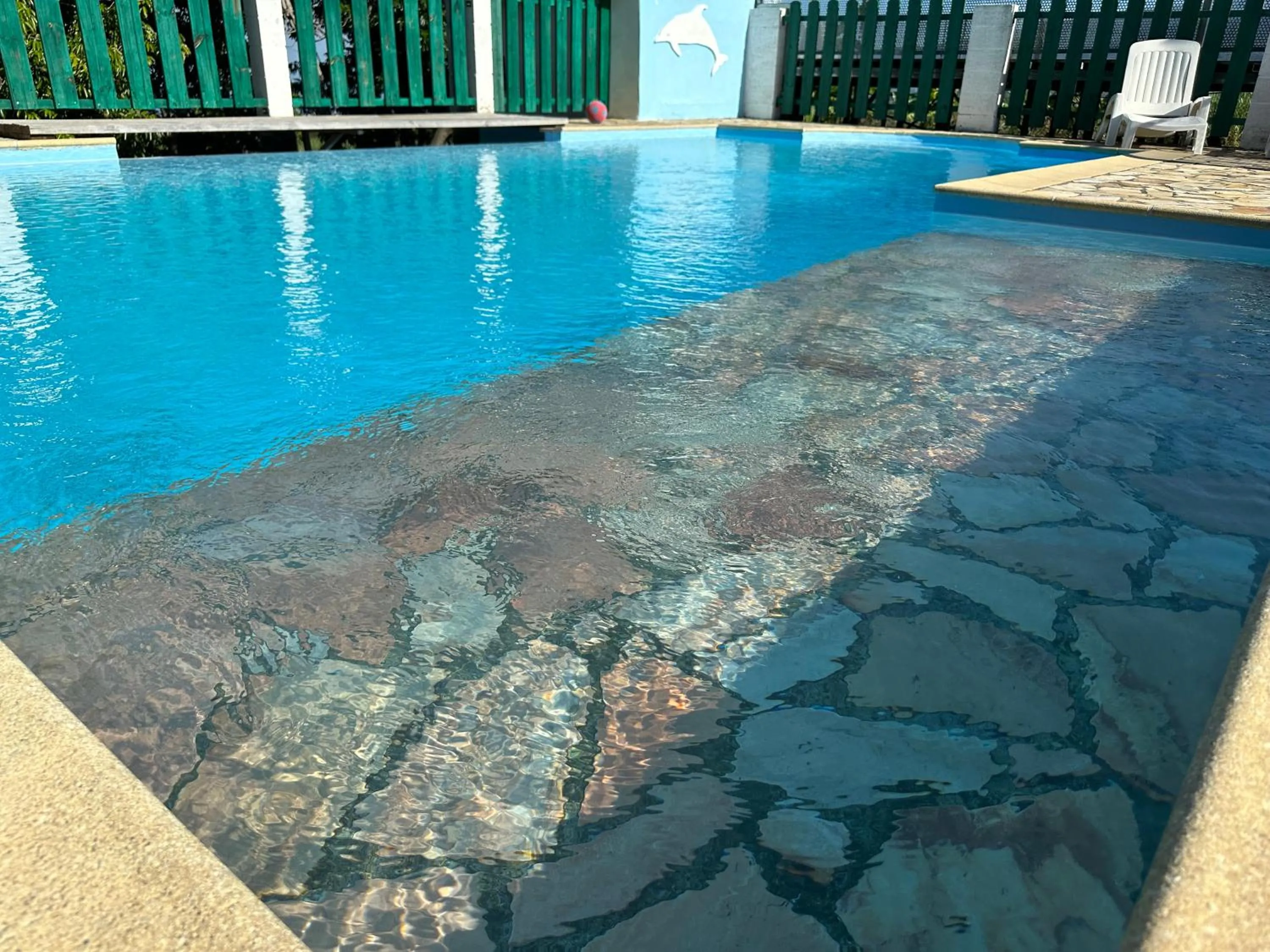 Swimming pool in Zoiseaux Pays