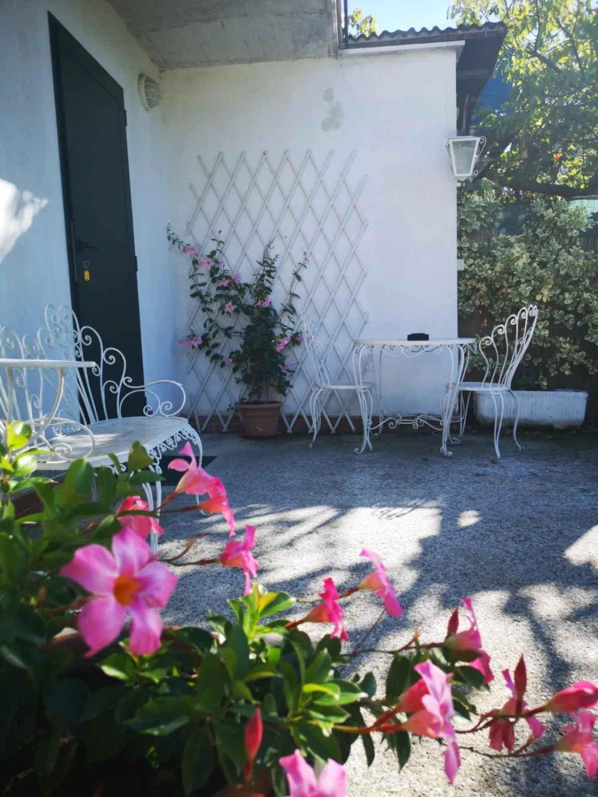 Garden in Nonna Piera