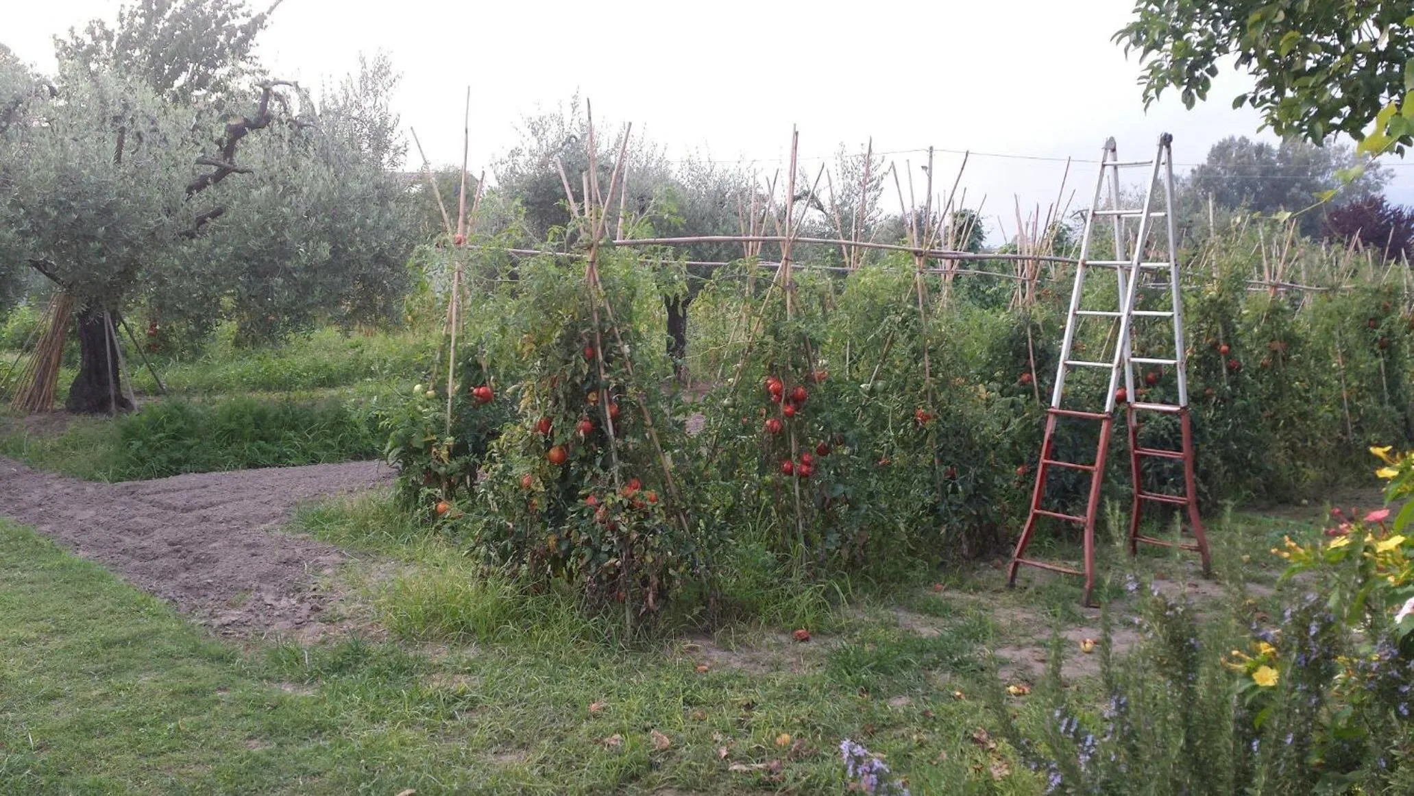 Natural landscape in Nonna Piera