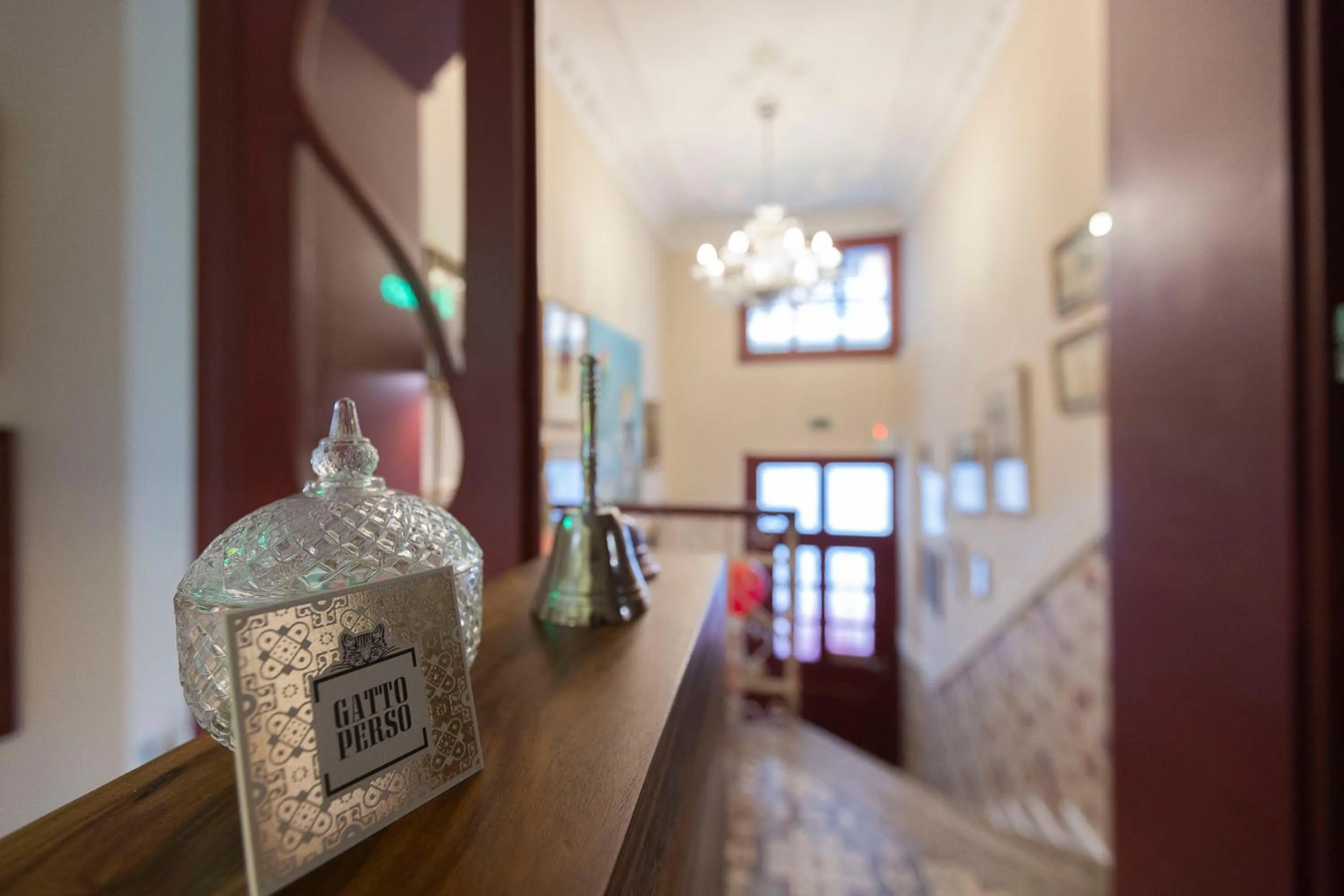 Gatto Perso Luxury Studios And Apartments