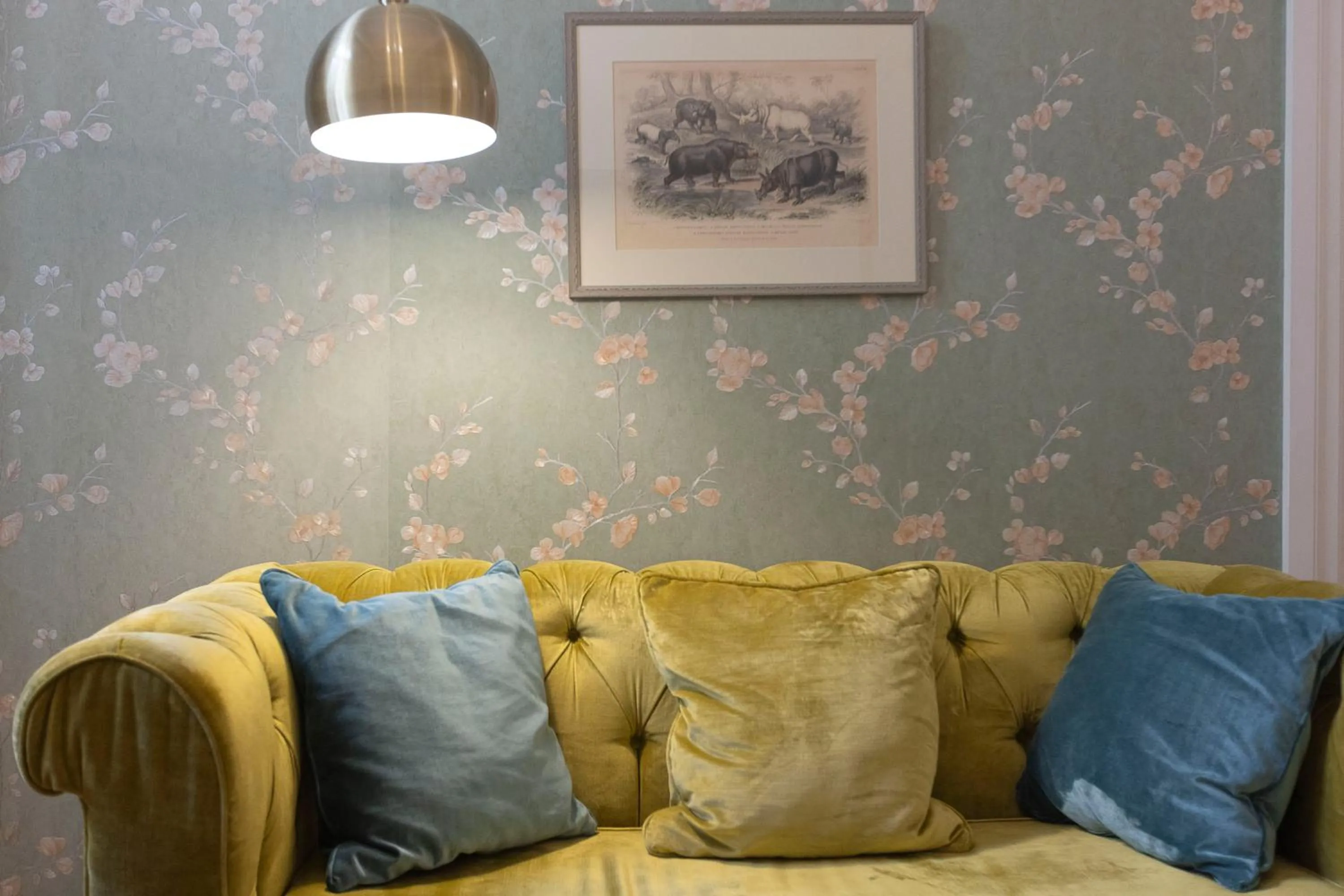 Gatto Perso Luxury Studios And Apartments