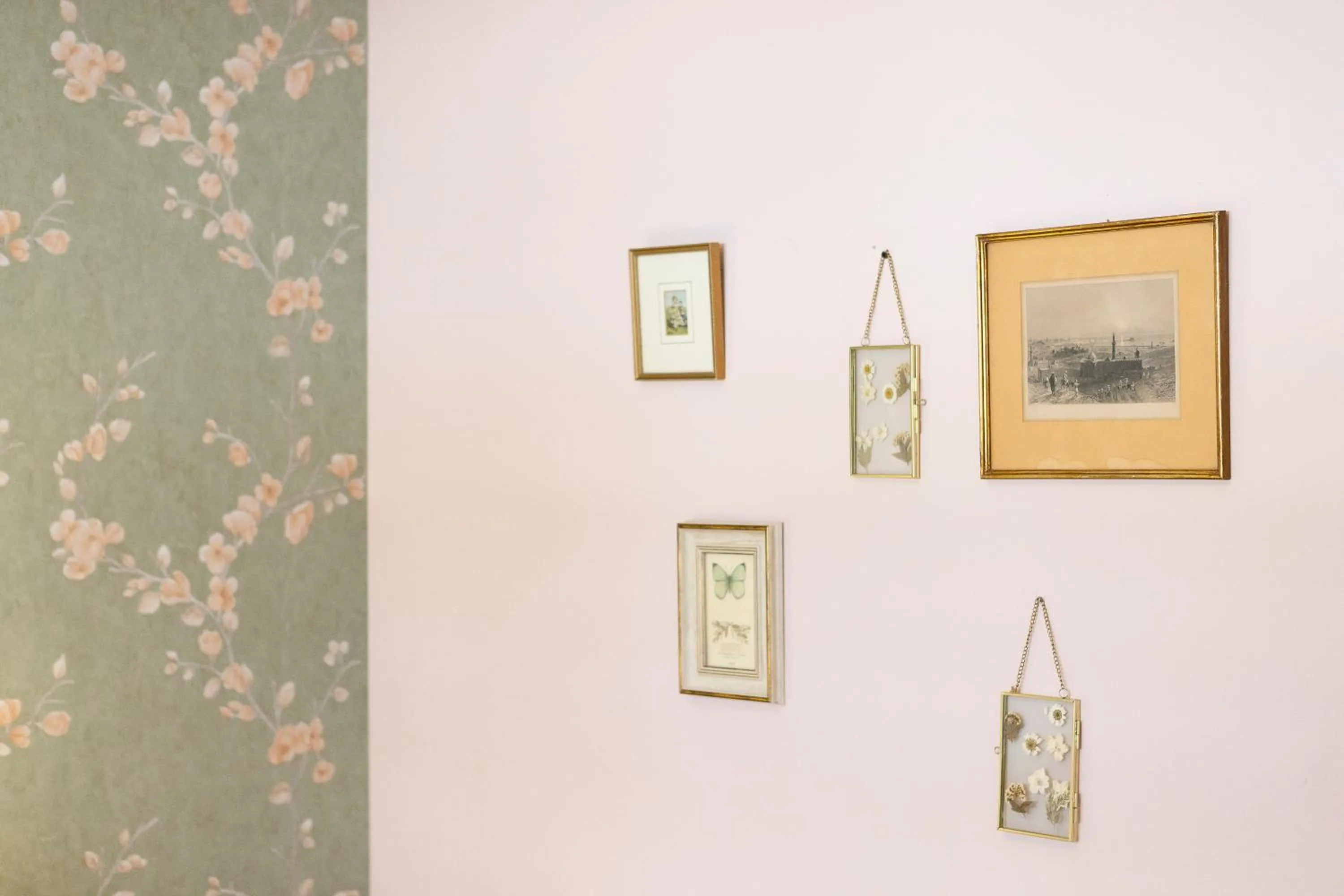 Gatto Perso Luxury Studios And Apartments