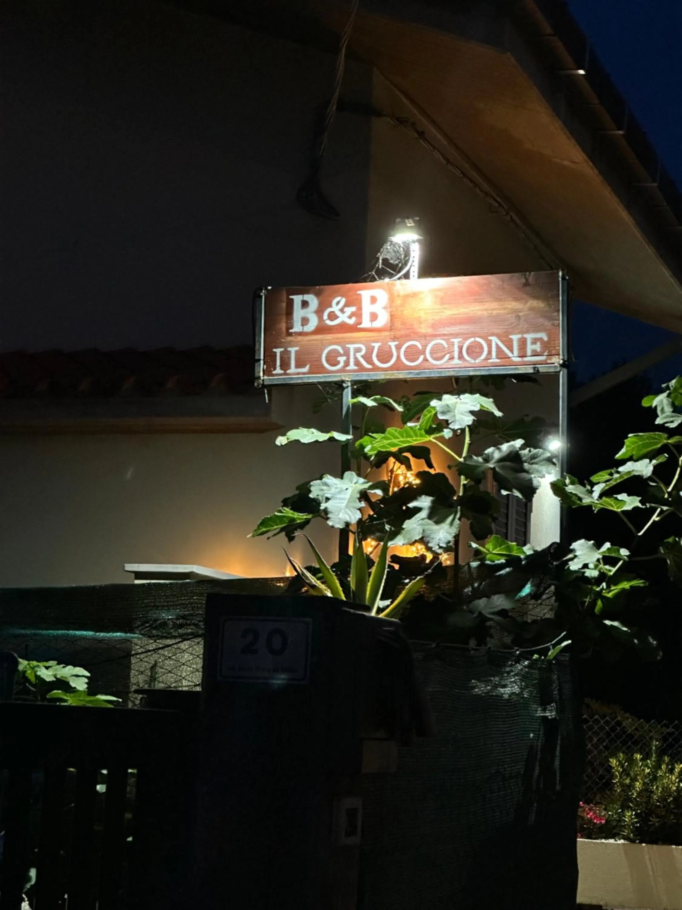 Il Gruccione