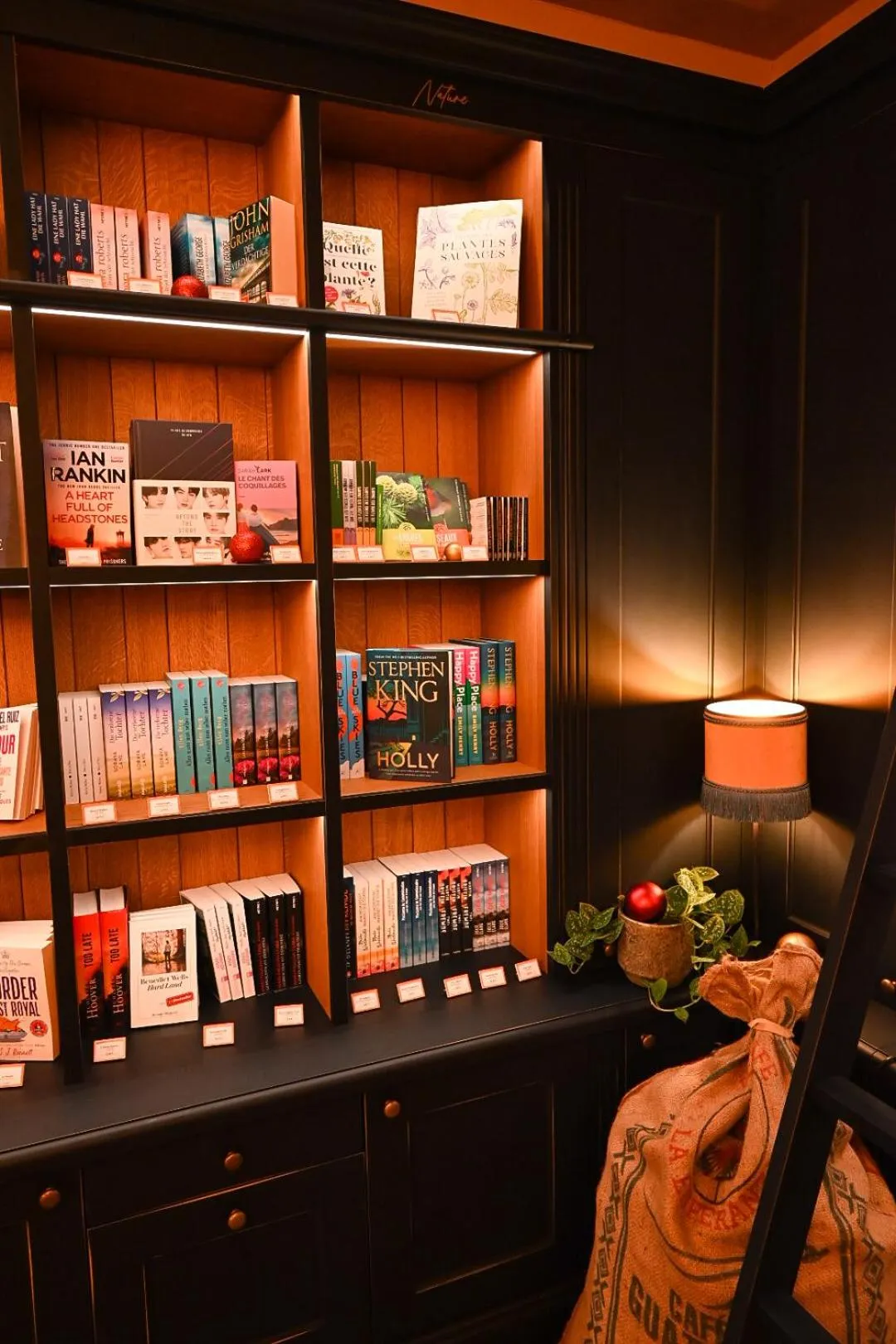 Library in Chateau d'Urspelt