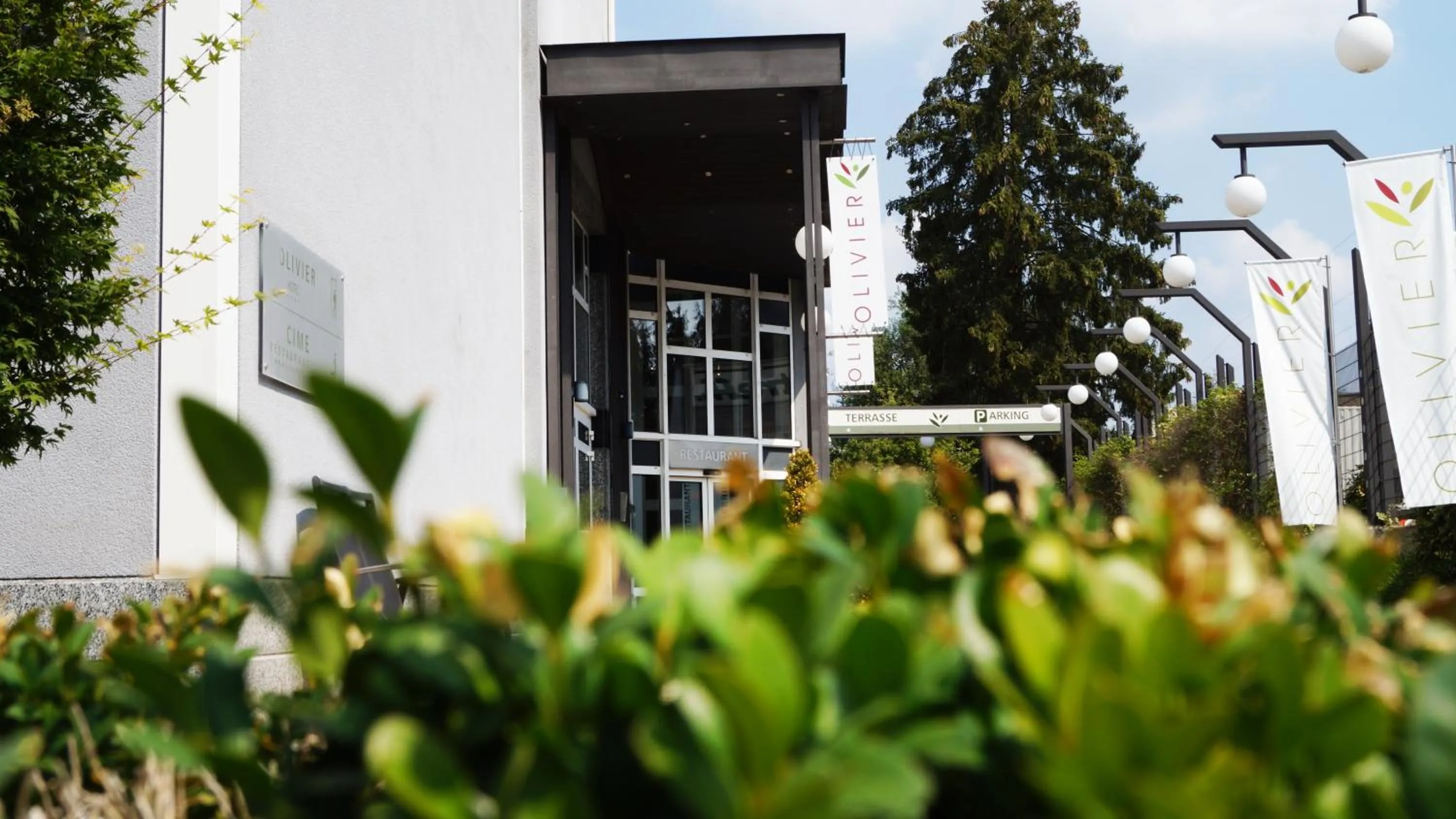 Garden in Hotel Olivier