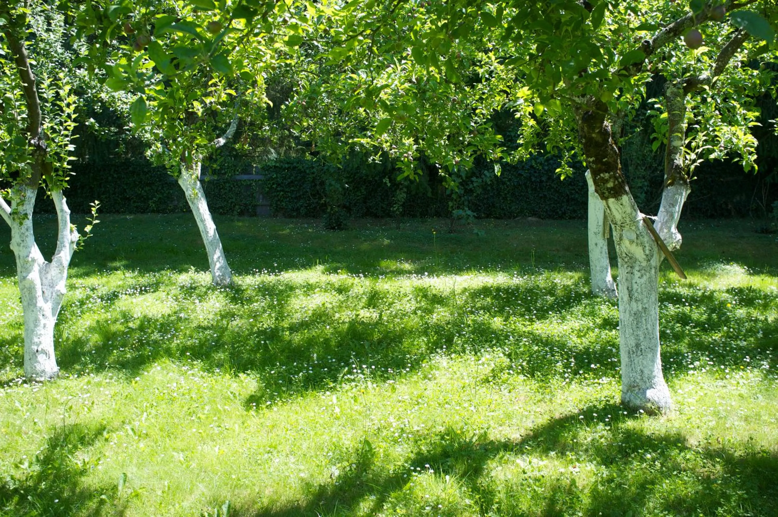 Garden in Cottage du Manoir de Trégaray