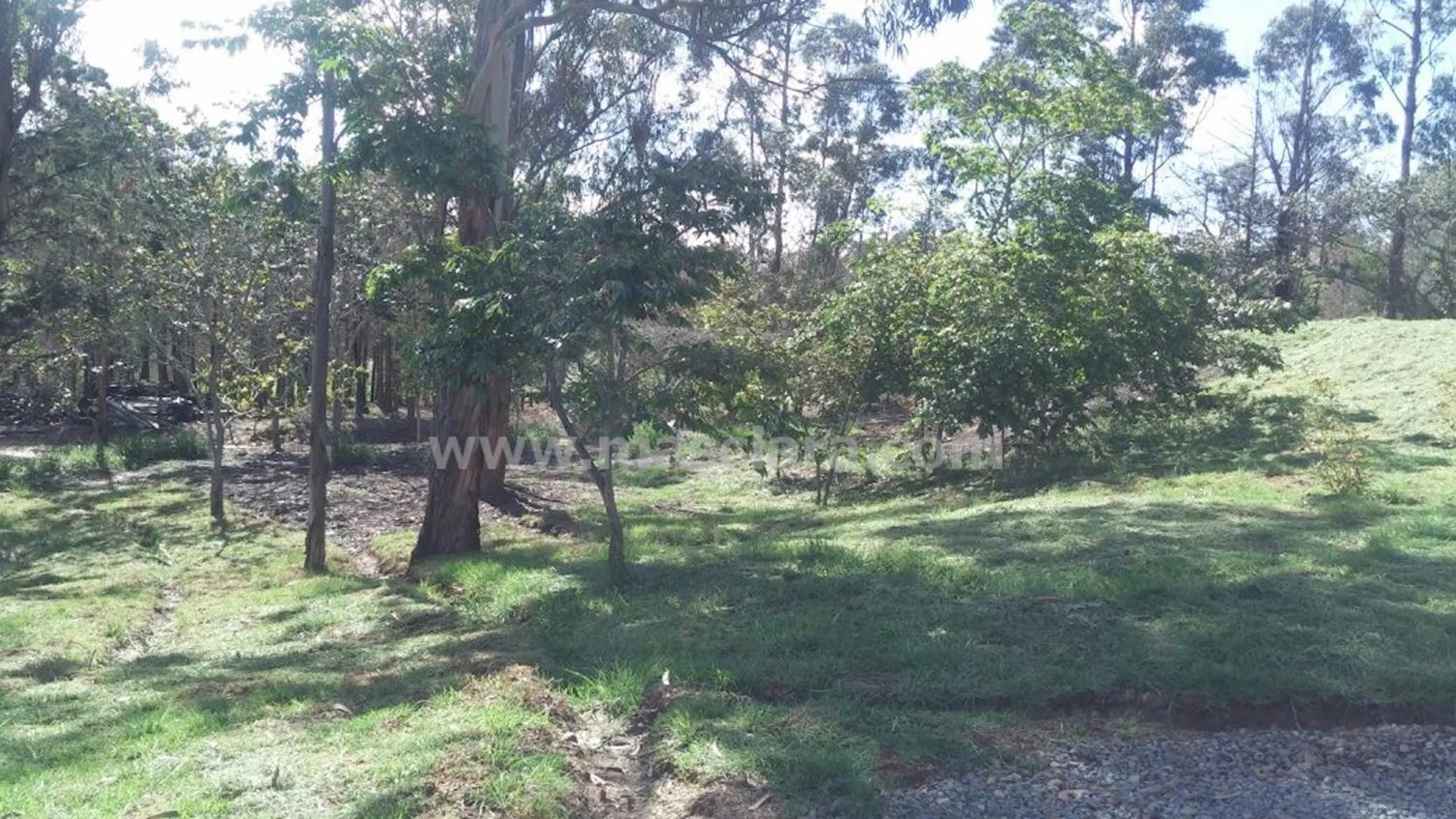 Off site, Garden in Hotel MasClara