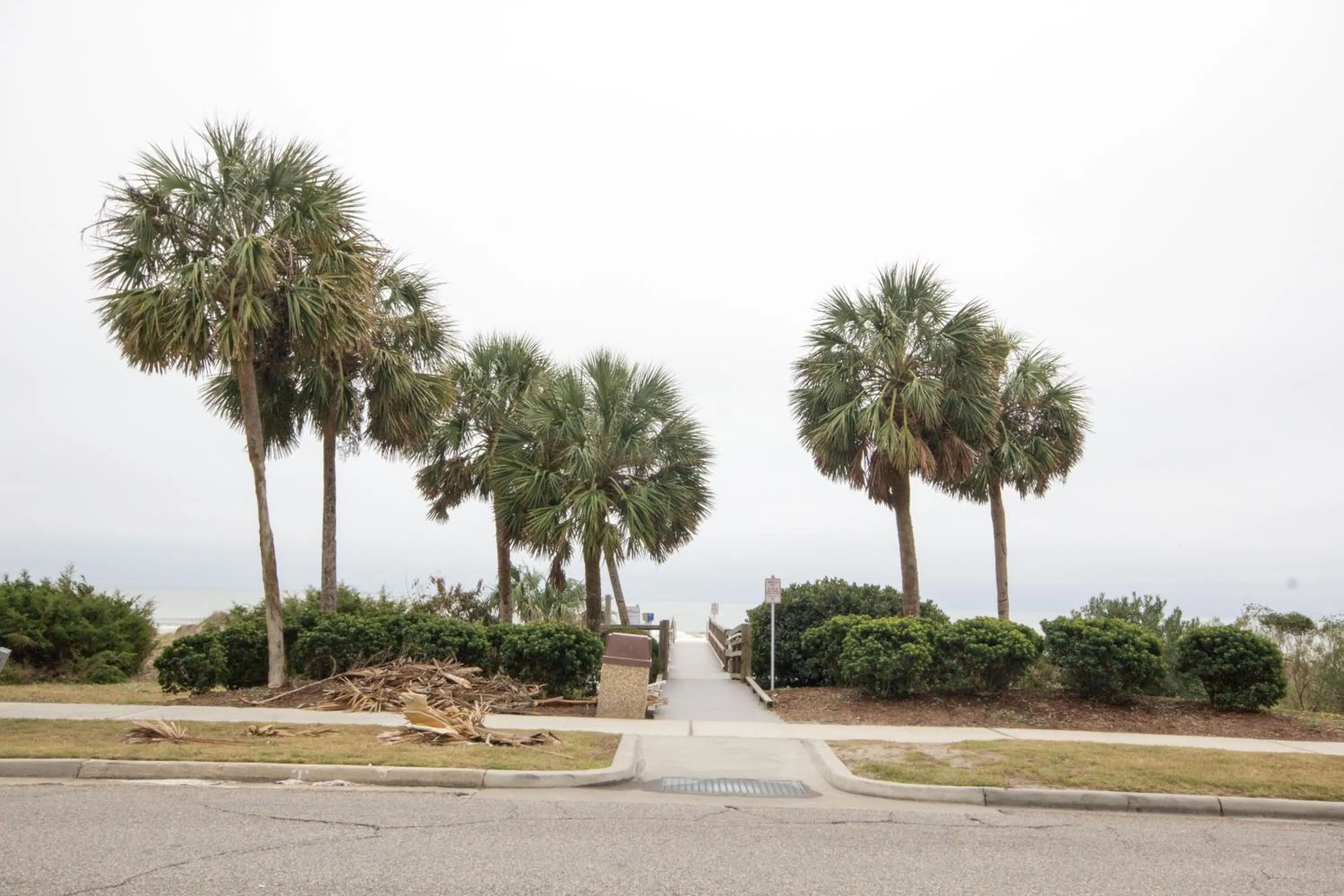View (from property/room) in Scenic Views from the balcony at Ocean Forest Plaza Condos