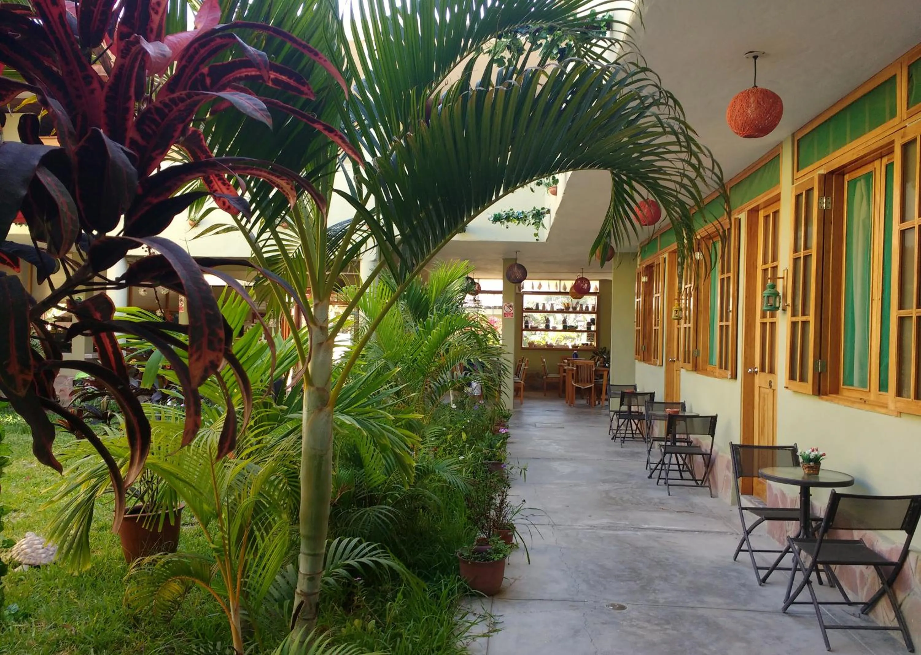 Garden in Punta Sal Bungalows